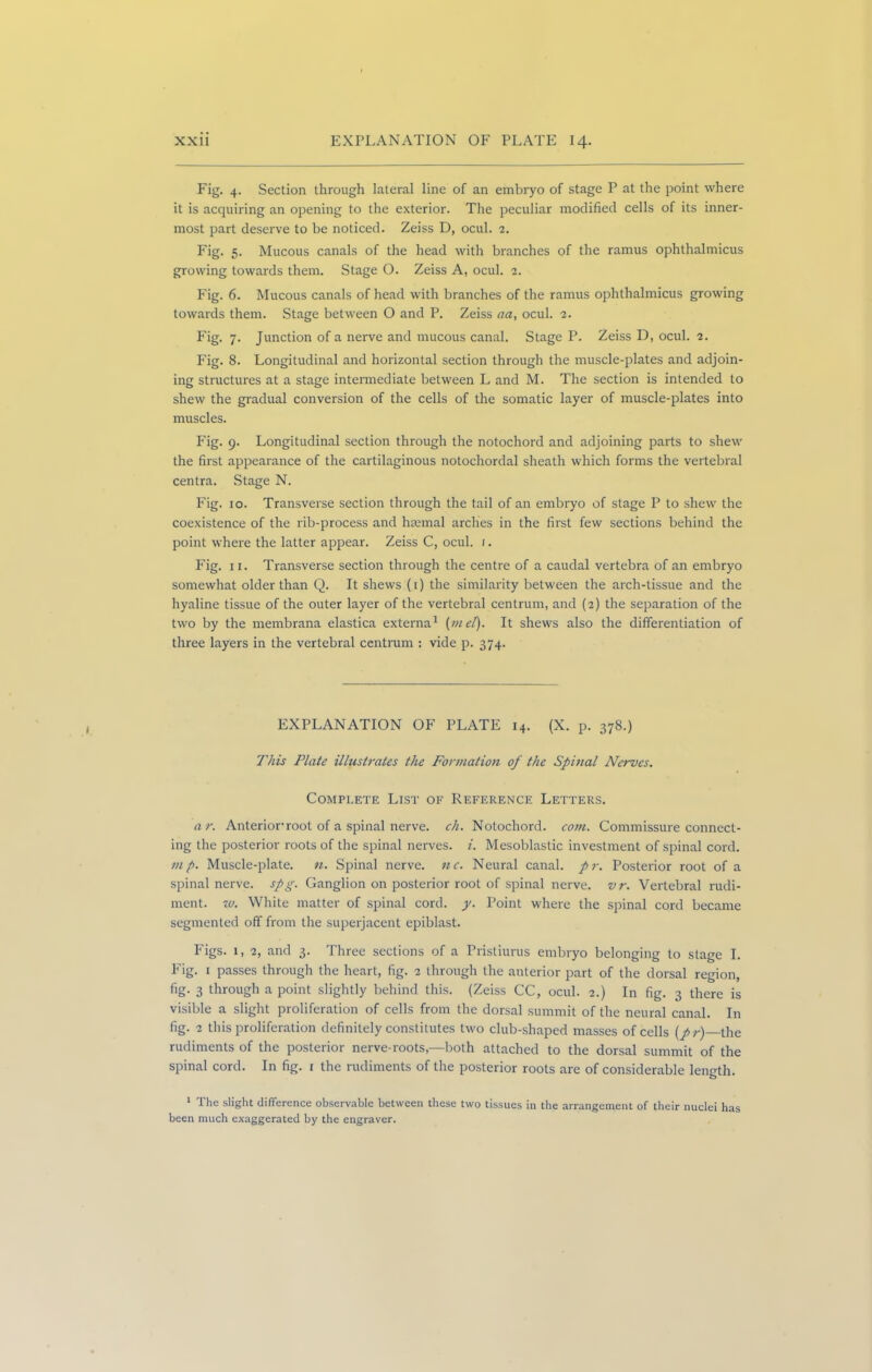 Fig. 4. Section through lateral line of an embryo of stage P at the point where it is acquiring an opening to the exterior. The peculiar modified cells of its inner- most part deserve to be noticed. Zeiss D, ocul. 2. Fig. 5. Mucous canals of the head with branches of the ramus ophthalmicus growing towards them. Stage O. Zeiss A, ocul. 2. Fig. 6. Mucous canals of head with branches of the ramus ophthalmicus growing towards them. Stage between O and P. Zeiss aa, ocul. 2. Fig. 7. Junction of a nerve and mucous canal. Stage P. Zeiss D, ocul. 2. Fig. 8. Longitudinal and horizontal section through the muscle-plates and adjoin- ing structures at a stage intermediate between L and M. The section is intended to shew the gradual conversion of the cells of the somatic layer of muscle-plates into muscles. Fig. 9. Longitudinal section through the notochord and adjoining parts to shew the first appearance of the cartilaginous notochordal sheath which forms the vertebral centra. Stage N. Fig. 10. Transverse section through the tail of an embryo of stage P to shew the coexistence of the rib-process and hiemal arches in the first few sections behind the point where the latter appear. Zeiss C, ocul. 1. Fig. 11. Transverse section through the centre of a caudal vertebra of an embryo somewhat older than Q. It shews (1) the similarity between the arch-tissue and the hyaline tissue of the outer layer of the vertebral centrum, and (2) the separation of the two by the membrana elastica externa1 (met). It shews also the differentiation of three layers in the vertebral centrum : vide p. 374. EXPLANATION OF PLATE 14. (X. p. 378.) This Plate illustrates the Formation of the Spinal Nerves. Complete List of Reference Letters. a r. Anterior root of a spinal nerve, eh. Notochord, com. Commissure connect- ing the posterior roots of the spinal nerves, i. Mesoblastic investment of spinal cord. mp. Muscle-plate. n. Spinal nerve, nc. Neural canal, pr. Posterior root of a spinal nerve, spg. Ganglion on posterior root of spinal nerve, vr. Vertebral rudi- ment. w. White matter of spinal cord. y. Point where the spinal cord became segmented off from the superjacent epiblast. Figs. 1, 2, and 3. Three sections of a Pristiurus embryo belonging to stage I. Fig. 1 passes through the heart, fig. 2 through the anterior part of the dorsal region, fig. 3 through a point slightly behind this. (Zeiss CC, ocul. 2.) In fig. 3 there is visible a slight proliferation of cells from the dorsal summit of the neural canal. In fig. 2 this proliferation definitely constitutes two club-shaped masses of cells (pr)—the rudiments of the posterior nerve-roots,—both attached to the dorsal summit of the spinal cord. In fig. 1 the rudiments of the posterior roots are of considerable length. 1 The slight difference observable between these two tissues in the arrangement of their nuclei has been much exaggerated by the engraver.