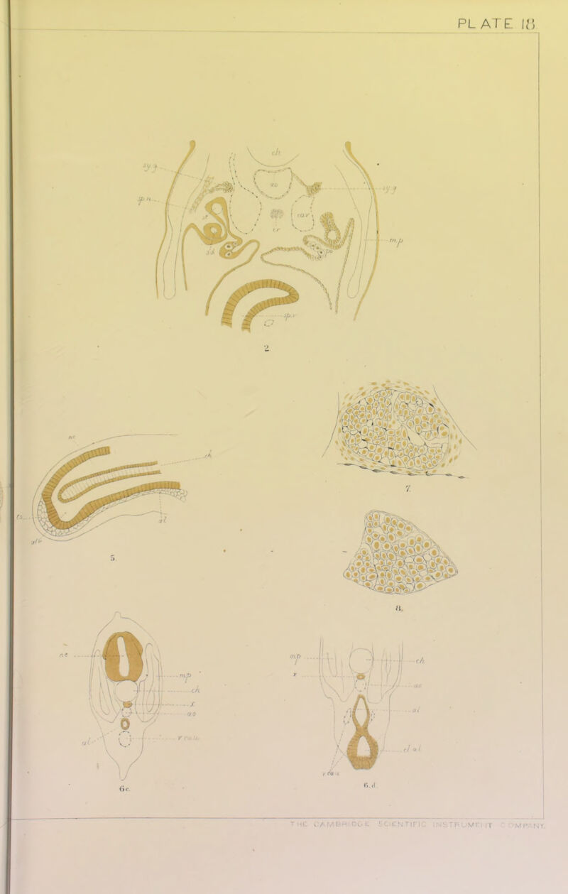 ;:<STP uwn rr c- mp.- ny. tml ^ am bridge scientific