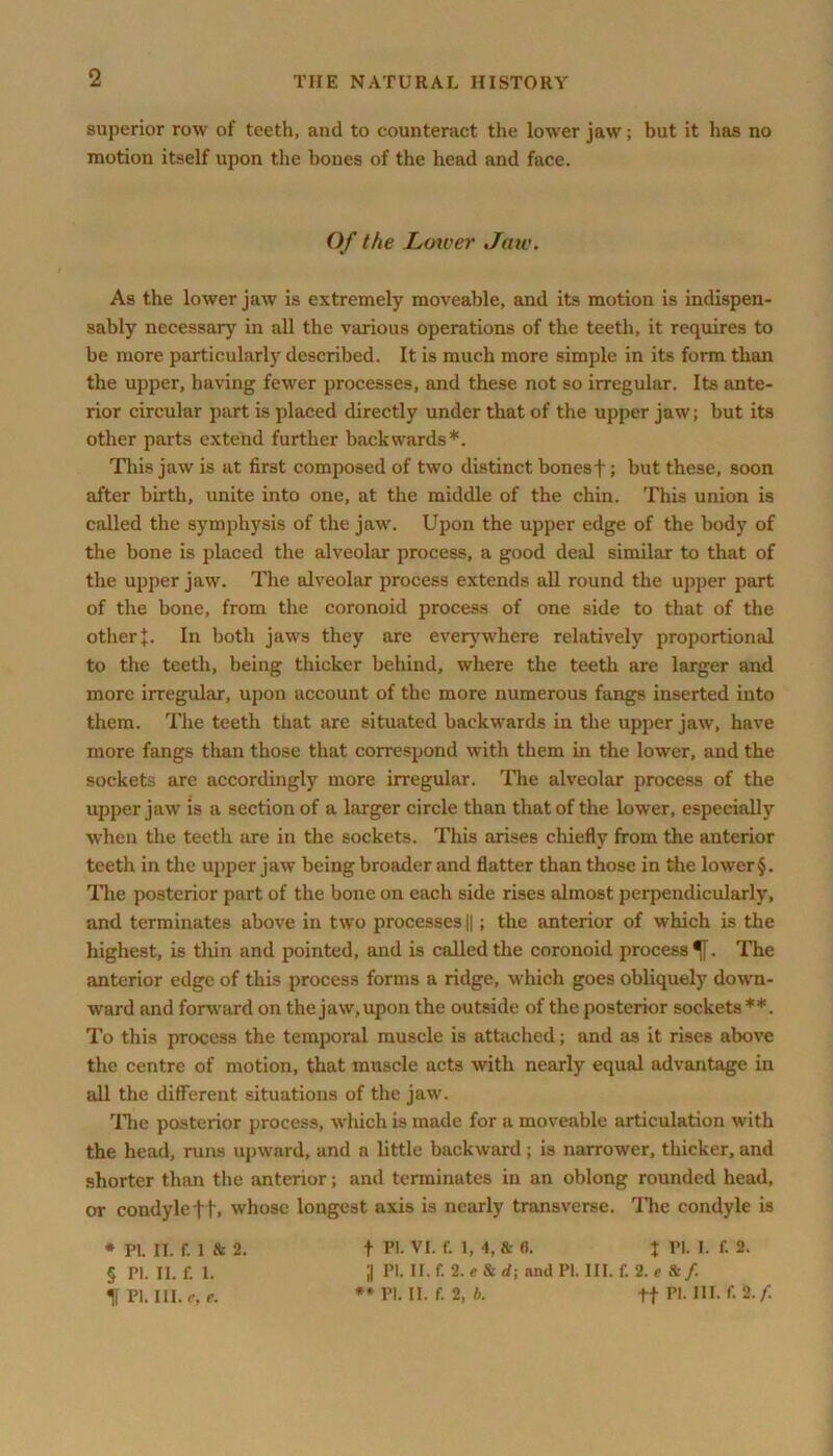 superior row of teeth, and to counteract the lower jaw; but it has no motion itself upon the bones of the head and face. Of the Lower Jaw. As the lower jaw is extremely moveable, and its motion is indispen- sably necessary in all the various operations of the teeth, it requires to be more particularly described. It is much more simple in its form than the upper, having fewer processes, and these not so irregular. Its ante- rior circular part is placed directly under that of the upper jaw; but its other parts extend further backwards*. This jaw is at first composed of two distinct bonesf; but these, soon after birth, unite into one, at the middle of the chin. This union is called the symphysis of the jaw. Upon the upper edge of the body of the bone is placed the alveolar process, a good deal similar to that of the upper jaw. The alveolar process extends all round the upper part of the bone, from the coronoid process of one side to that of the otherl. In both jaws they are everywhere relatively proportional to the teeth, being thicker behind, where the teeth are larger and more irregular, upon account of the more numerous fangs inserted into them. The teeth that are situated backwards in the upper jaw, have more fangs than those that correspond with them in the lower, and the sockets are accordingly more irregular. The alveolar process of the upper jaw is a section of a larger circle than that of the lower, especially when the teeth are in the sockets. This arises chiefly from the anterior teeth in the upper jaw being broader and flatter than those in the lower §. The posterior part of the bone on each side rises almost perpendicularly, and terminates above in two processes ||; the anterior of which is the highest, is thin and pointed, and is called the coronoid process^. The anterior edge of this process forms a ridge, w hich goes obliquely down- ward and forward on the jaw,upon the outside of the posterior sockets**. To this process the temporal muscle is attached; and as it rises above the centre of motion, that muscle acts with nearly equal advantage in all the different situations of the jaw. The posterior process, which is made for a moveable articulation with the head, runs upward, and a little backward; is narrower, thicker, and shorter than the anterior; and terminates in an oblong rounded head, or condyle ft, whose longest axis is nearly transverse. The condyle is * PI. II. f. 1 & 2. § Pi. II. f. 1. 11 PI. III. e,e. t PI. VI. f. 1, 4, & 6. t PI. I. f. 2. ;| PI. II. f. 2. e & rf; and PI. III. f. 2. e & f. ** PI. II. f. 2, l>. +f PI. III. f.2./l