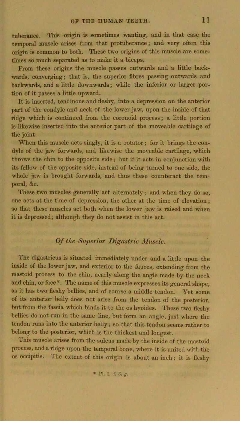 tuberance. This origin is sometimes wanting, and in that case the temporal muscle arises from that protuberance; and very often this origin is common to both. These two origins of this muscle are some- times so much separated as to make it a biceps. From these origins the muscle passes outwards and a little back- wards, converging; that is, the superior fibres passing outwards and backwards, and a little downwards; while the inferior or larger por- tion of it passes a little upward. It is inserted, tendinous and fleshy, into a depression on the anterior part of the condyle and neck of the lower jaw, upon the inside of that ridge which is continued from the coronoid process; a little portion is likewise inserted into the anterior part of the moveable cartilage of the joint. When this muscle acts singly, it is a rotator; for it brings the con- dyle of the jaw forwards, and likewise the moveable cartilage, which throws the chin to the opposite side; but if it acts in conjunction with its fellow of the opposite side, instead of being turned to one side, the whole jaw is brought forwards, and thus these counteract the tem- poral, &c. These two muscles generally act alternately; and when they do so, one acts at the time of depression, the other at the time of elevation; so that these muscles act both when the lower jaw is raised and when it is depressed; although they do not assist in this act. Of the Superior Digastric Muscle. The digastricus is situated immediately under and a little upon the inside of the lower jaw, and exterior to the fauces, extending from the mastoid process to the chin, nearly along the angle made by the neck and chin, or face*. The name of this muscle expresses its general shape, as it has two fleshy bellies, and of course a middle tendon. Yet some of its anterior belly does not arise from the tendon of the posterior, but from the fascia which binds it to the os hyoides. These two fleshy bellies do not run in the same line, but form an angle, just where the tendon runs into the anterior belly; so that this tendon seems rather to belong to the posterior, which is the thickest and longest. This muscle arises from the sulcus made by the inside of the mastoid process, and a ridge upon the temporal bone, where it is united with the os occipitis. I he extent of this origin is about an inch; it is fleshy