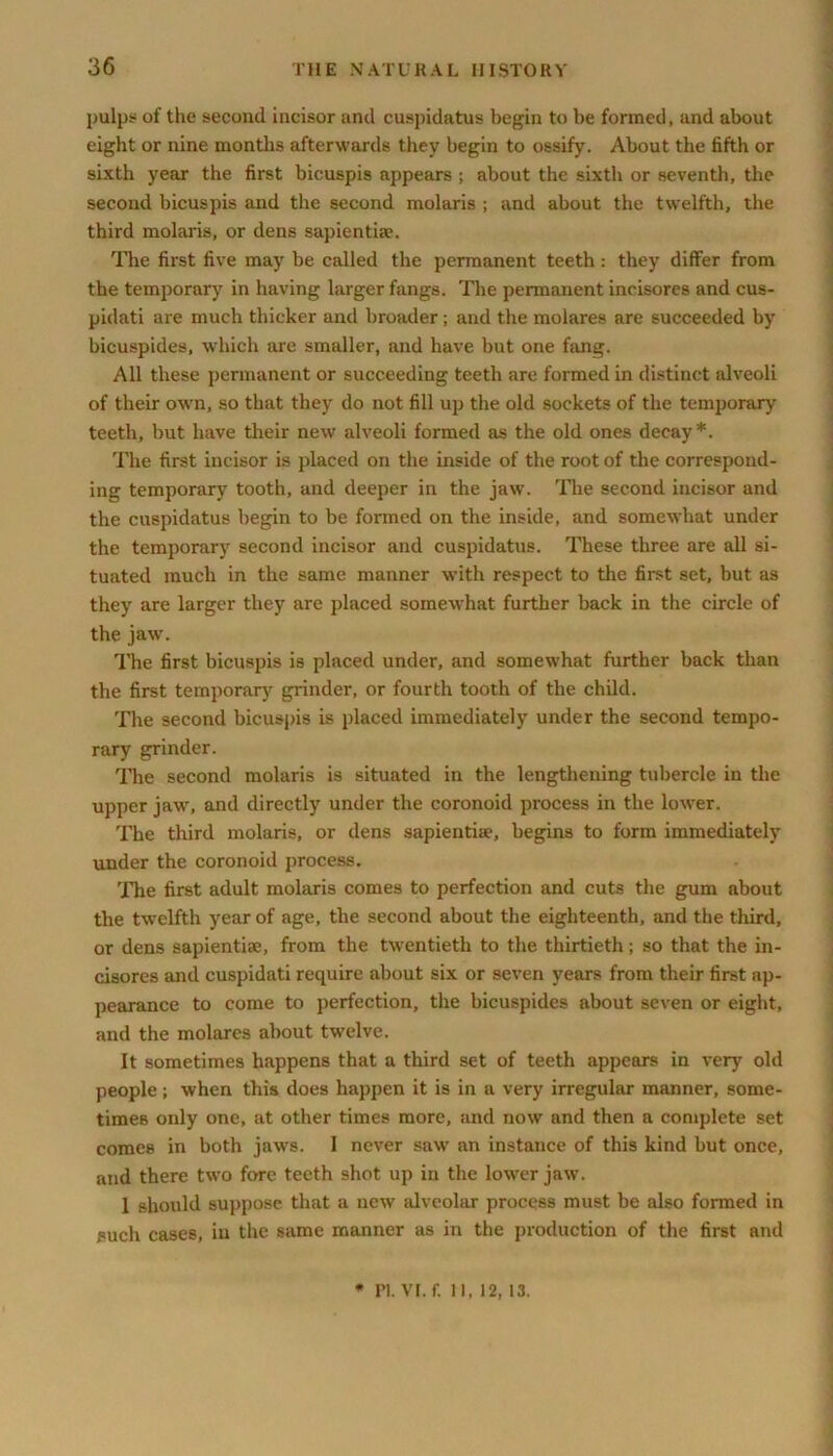 pulps of the second incisor and cuspidatus begin to be formed, and about eight or nine months afterwards they begin to ossify. About the fifth or sixth year the first bicuspis appears ; about the sixth or seventh, the second bicuspis and the second molaris ; and about the twelfth, the third molaris, or dens sapientiae. The first five may be called the permanent teeth: they differ from the temporary in having larger fangs. The permanent incisores and cus- pidati are much thicker and broader; and the molares are succeeded by bicuspides, which are smaller, and have but one fang. All these permanent or succeeding teeth are formed in distinct alveoli of their own, so that they do not fill up the old sockets of the temporary teeth, but have their new alveoli formed as the old ones decay*. The first incisor is placed on the inside of the root of the correspond- ing temporary tooth, and deeper in the jaw. The second incisor and the cuspidatus begin to be formed on the inside, and somewhat under the temporary second incisor and cuspidatus. These three are all si- tuated much in the same manner with respect to the first set, but as they are larger they are placed somewhat further back in the circle of the jaw. The first bicuspis is placed under, and somewhat further back than the first temporary grinder, or fourth tooth of the child. The second bicuspis is placed immediately under the second tempo- rary grinder. The second molaris is situated in the lengthening tubercle in the upper jawr, and directly under the coronoid process in the lower. The third molaris, or dens sapientiie, begins to form immediately under the coronoid process. 'Phe first adult molaris comes to perfection and cuts the gum about the twelfth year of age, the second about the eighteenth, and the third, or dens sapientise, from the twentieth to the thirtieth; so that the in- cisores and cuspidati require about six or seven years from their first ap- pearance to come to perfection, the bicuspides about seven or eight, and the molares about twelve. It sometimes happens that a third set of teeth appears in very old people ; when this does happen it is in a very irregular manner, some- times only one, at other times more, and now and then a complete set comes in both jaws. I never saw an instance of this kind but once, and there two fore teeth shot up in the lowrer jaw. 1 should suppose that a new alveolar process must be also formed in such cases, in the same manner as in the production of the first and