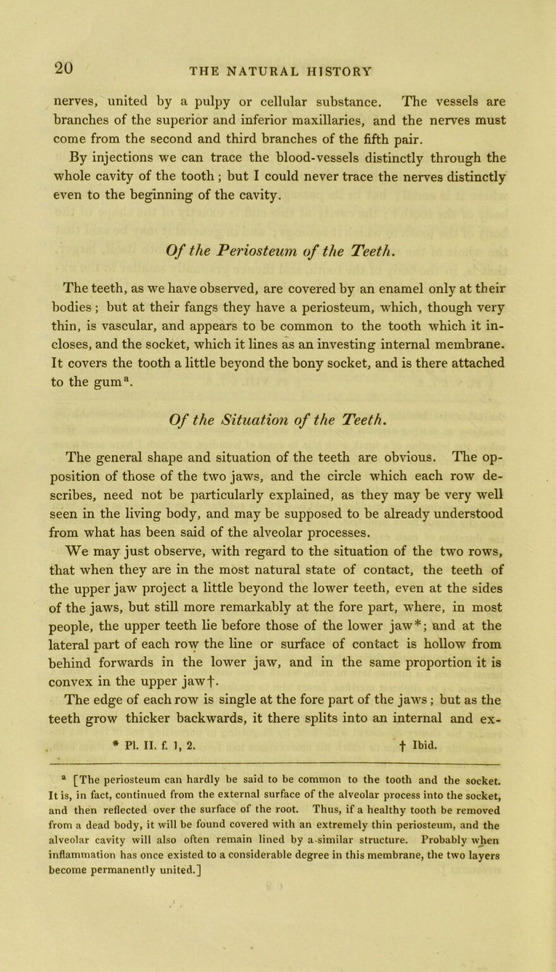 nerves, united by a pulpy or cellular substance. The vessels are branches of the superior and inferior raaxillaries, and the nerves must come from the second and third branches of the fifth pair. By injections we can trace the blood-vessels distinctly through the whole cavity of the tooth ; but I could never trace the nerves distinctly even to the beginning of the cavity. Of the Periosteum of the Teeth. The teeth, as we have observed, are covered by an enamel only at their bodies; but at their fangs they have a periosteum, which, though very thin, is vascular, and appears to be common to the tooth which it in- closes, and the socket, which it lines as an investing internal membrane. It covers the tooth a little beyond the bony socket, and is there attached to the guma. Of the Situation of the Teeth. The general shape and situation of the teeth are obvious. The op- position of those of the two jaws, and the circle which each row de- scribes, need not be particularly explained, as they may be very well seen in the living body, and may be supposed to be already understood from what has been said of the alveolar processes. We may just observe, with regard to the situation of the two rows, that when they are in the most natural state of contact, the teeth of the upper jaw project a little beyond the lower teeth, even at the sides of the jaws, but still more remarkably at the fore part, where, in most people, the upper teeth lie before those of the lower jaw*; and at the lateral part of each row the line or surface of contact is hollow from behind forwards in the lower jaw, and in the same proportion it is convex in the upper jawf. The edge of each row is single at the fore part of the jaws ; but as the teeth grow thicker backwards, it there splits into an internal and ex- * PI. II. f. 1, 2. f Ibid. a [The periosteum can hardly be said to be common to the tooth and the socket. It is, in fact, continued from the external surface of the alveolar process into the socket, and then reflected over the surface of the root. Thus, if a healthy tooth be removed from a dead body, it will be found covered with an extremely thin periosteum, and the alveolar cavity will also often remain lined by a similar structure. Probably when inflammation has once existed to a considerable degree in this membrane, the two layers become permanently united.]