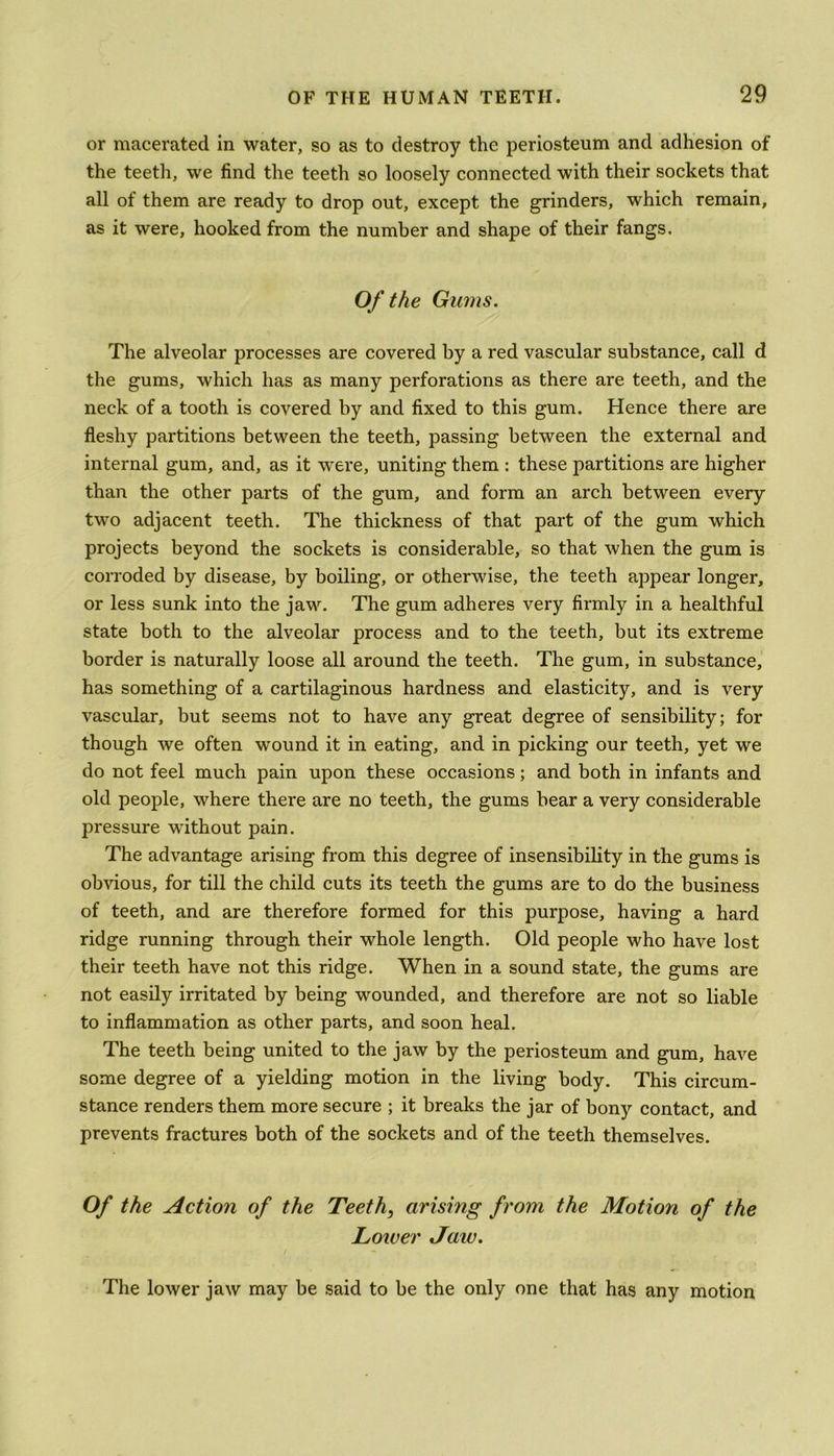 or macerated in water, so as to destroy the periosteum and adhesion of the teeth, we find the teeth so loosely connected with their sockets that all of them are ready to drop out, except the grinders, which remain, as it were, hooked from the number and shape of their fangs. Of the Gums. The alveolar processes are covered by a red vascular substance, call d the gums, which has as many perforations as there are teeth, and the neck of a tooth is covered by and fixed to this gum. Hence there are fleshy partitions between the teeth, passing between the external and internal gum, and, as it were, uniting them : these partitions are higher than the other parts of the gum, and form an arch between every two adjacent teeth. The thickness of that part of the gum which projects beyond the sockets is considerable, so that when the gum is corroded by disease, by boiling, or otherwise, the teeth appear longer, or less sunk into the jaw. The gum adheres very firmly in a healthful state both to the alveolar process and to the teeth, but its extreme border is naturally loose all around the teeth. The gum, in substance, has something of a cartilaginous hardness and elasticity, and is very vascular, but seems not to have any great degree of sensibility; for though we often wound it in eating, and in picking our teeth, yet we do not feel much pain upon these occasions; and both in infants and old people, where there are no teeth, the gums bear a very considerable pressure without pain. The advantage arising from this degree of insensibility in the gums is obvious, for till the child cuts its teeth the gums are to do the business of teeth, and are therefore formed for this purpose, having a hard ridge running through their whole length. Old people who have lost their teeth have not this ridge. When in a sound state, the gums are not easily irritated by being wounded, and therefore are not so liable to inflammation as other parts, and soon heal. The teeth being united to the jaw by the periosteum and gum, have some degree of a yielding motion in the living body. This circum- stance renders them more secure ; it breaks the jar of bony contact, and prevents fractures both of the sockets and of the teeth themselves. Of the Action of the Teeth, arising from the Motion of the Lower Jaw. The lower jaw may be said to be the only one that has any motion