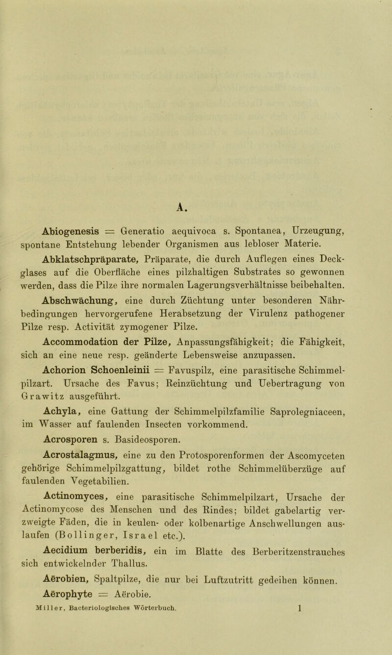 A. Abiogenesis = Generatio aeqnivoca s. Spontanea, Urzeugung, spontane Entstehung lebender Organismen aus lebloser Materie. Abklatschpraparate, Praparate, die durch Auflegen eines Deck- glases auf die Oberflache eines pilzhaltigen Substrates so gewonnen werden, dass die Pilze ilire normalen Lagerungsverbaltnisse beibebalten. Abschwachung, eine durcb Ziichtung unter besonderen Nahr- bedingungen bervorgerufene Herabsetzung der Virulenz pathogener Pilze resp. Activitat zymogener Pilze. Accommodation der Pilze, Anpassungsfahigkeit; die Fahigkeit, sich an eine neue resp. geanderte Lebensweise anzupassen. Achorion Schoenleinii = Favuspilz, eine parasitiscbe Scbimmel- pilzart. Ursache des Favus; Reinzuchtung und Uebertragung von Grawitz ausgefiihrt. Acbyla, eine Gattung der Scbimmelpilzfamilie Saprolegniaceen, im Wasser auf faulenden Insecten vorkommend. Acrosporen s. Basideosporen. Acrostalagmus, eine zu den Protosporenformen der Ascomyceten gehorige Schimmelpilzgattung; bildet rothe Schimmeluberzuge auf faulenden Vegetabilien. Actinomyces, eine parasitiscbe Scbimmelpilzart, Ursache der Actinomycose des Menschen und des Rindes; bildet gabelartig ver- zvveigte Faden, die in keulen- oder kolbenartige Anschwellungen aus- laufen (Bollinger, Israel etc.). Aecidium berberidis, ein im Blatte des Berberitzenstrauclies sich entwickelnder Thallus. A6robien, Spaltpilze, die nur bei Luftzutritt gedeihen konnen. Aerophyte = Aerobie.