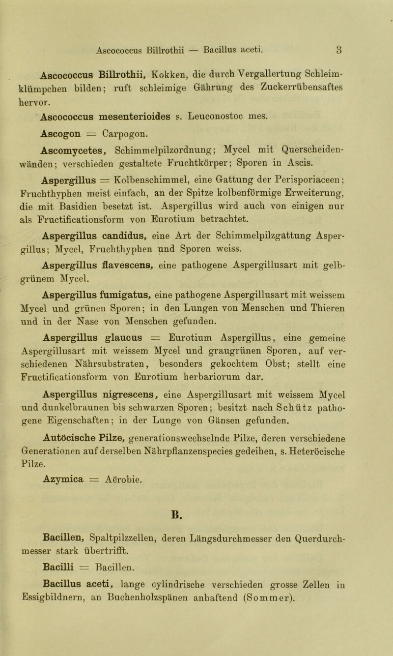 Ascococcus Billrothii, Kokken, die durch Vergallertuug Schleim- kliimpchen bilden; ruft schleimige Gahrung des Zuckerriibensaftes bervor. Ascococcus mesenterioides s. Leuconostoc mes. Ascogon = Carpogon. Ascomycetes, Scbimmelpilzordnung; Mycel mit Querscheiden- wanden; verschieden gestaltete Fruchtkorper; Sporen in Ascis. Aspergillus = Kolbenschimmel, eine Gattung der Perisporiaceen; Fruchthypbeii meist einfach, an der Spitze kolbenformige Erweiterung, die mit Basidien besetzt ist. Aspergillus wird aucli von einigen nur als Fructificationsform von Eurotium betrachtet. Aspergillus candidus, eine Art der Scbimmelpilzgattung Asper- gillus; Mycel, Fruchthyphen und Sporen weiss. Aspergillus flavescens, eine patbogene Aspergillusart mit gelb- griinem Mycel. Aspergillus fumigatus, eine patbogene Aspergillusart mit weissem Mycel und griinen Sporen; in den Lungen von Menscben und Tbieren und in der Nase von Menscben gefunden. Aspergillus glaucus = Eurotium Aspergillus, eine gemeine Aspergillusart mit weissem Mycel und graugriinen Sporen, auf ver- scbiedenen Nabrsubstraten, besonders gekocbtem Obst; stellt eine Fructificationsform von Eurotium berbariorum dar. Aspergillus nigrescens, eine Aspergillusart mit weissem Mycel und dunkelbraunen bis scbwarzen Sporen; besitzt nacb Scbiitz patho- gene Eigenscbaften; in der Lunge von Gansen gefunden. AutOcische Pilze, generationswecbselnde Pilze, deren verscbiedene Generationen auf derselben Nabrpflanzenspecies gedeiben, s. Heterociscbe Pilze. Azymica = Aerobie. B. Bacillen, Spaltpilzzellen, deren Langsdurcbmesser den Querdurcb- messer stark ubertrifft. Bacilli = Bacillen. Bacillus aceti, lange cylindrische verscbieden grosse Zellen in Essigbildnern, an Bucbenbolzspanen anbaftend (Sommer).