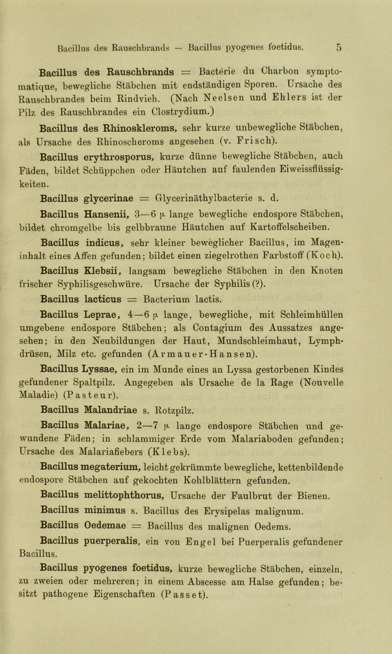 Bacillus des Rauschbrands = Bacterie du Charbon sympto- matique, beweglicbe Stabclien mit endstandigen Sporen. Ursache des Rauschbrandes beim Rindvieb. (Nach Neelsen und Ehlers ist der Pilz des Rauschbrandes ein Clostrydium.) Bacillus des Rhinoskleroms, sehr kurze unbewegliche Stabchen, als Ursache des Rhinoscheroms angesehen (v. Frisch). Bacillus erythrosporus, kurze diinne bewegliche Stabchen, auch Fltden, bildet Schuppchen oder Hautchen auf faulenden Eiweissflussig- keiten. Bacillus glycerinae = Glycerinathylbacterie s. d. Bacillus Hansenii, 3—6 ij. lange bewegliche endospore Stabchen, bildet chromselbe bis gelbbraune Hautchen auf Kartoffelscheiben. Bacillus indicus, sehr kleiner beweglicher Bacillus, im Magen- inhalt eines Affen gefunden; bildet einen ziegelrothen Farbstoff (Koch). Bacillus Klebsii, langsam bewegliche Stabchen in den Knoten frischer Syphilisgeschwlire. Ursache der Syphilis (?). Bacillus lacticus = Bacterium lactis. Bacillus Leprae, 4—6 p lange, bewegliche, mit Schleimhiillen umgebene endospore Stabchen; als Contagium des Aussatzes ange- sehen; in den Neubildungen der Haut, Mundschleimhaut, Lymph- driisen, Milz etc. gefunden (Armauer-Hansen). Bacillus Lyssae, ein im Munde eines an Lyssa gestorbenen Kindes gefundener Spaltpilz. Angegeben als Ursache de la Rage (Nouvelle Maladie) (Pasteur). Bacillus Malandriae s. Rotzpilz. Bacillus Malariae, 2—7 \j. lange endospore Stabchen und ge- wundene Faden; in schlammiger Erde vom Malariaboden gefunden; Ursache des Malariafiebers (Klebs). Bacillus megaterium, leicht gekriimmte bewegliche, kettenbildende endospore Stabchen auf gekochten Kohlblattern gefunden. Bacillus melittopbtborus, Ursache der Faulbrut der Bienen. Bacillus minimus s. Bacillus des Erysipelas malignum. Bacillus Oedemae = Bacillus des malignen Oedems. Bacillus puerperalis, ein von Engel bei Puerperalis gefundener Bacillus. Bacillus pyogenes foetidus, kurze bewegliche Stabchen, einzeln, zu zweien oder mehreren; in einem Abscesse am Halse gefunden; be- sitzt pathogene Eigenschaften (Passet).