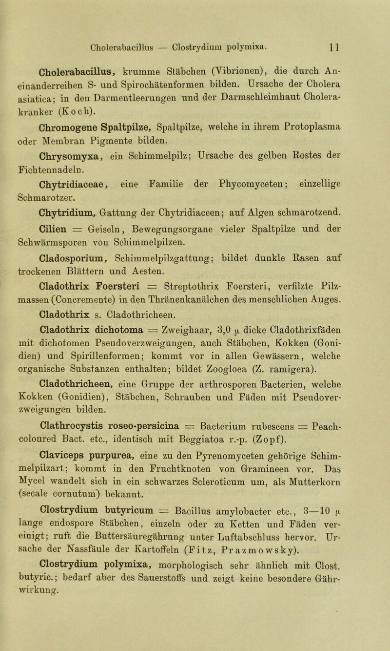 Cholerabacillus, krumme Stabchen (Vibrionen), die durch Aii- eiuanderreiben S- und Spirochatenformen bilden. Ursache der Cholera asiatica; in den Darmentleerungen und der Darmschleimhaut Cholera- kranker (Koch). Chromogene Spaltpilze, Spaltpilze, welche in ihrem Protoplasma Oder Membran Pigmente bilden. Chrysomyxa, ein Schimmelpilz; Ursache des gelben Rostes der Pichtennadeln. Chytridiaceae, eine Familie der Phycomyceten; einzellige Schmarotzer. Chytridium, Gattung der Chytridiaceen; auf Algen schmarotzend. Cilien = Geiseln, Bewegungsorgane vieler Spaltpilze und der Schwarmsporen von Schimmelpilzen. Cladosporium, Schimmelpilzgattung; bildet dunkle Rasen auf trockenen Blattern und Aesten. Cladothrix Foersteri = Streptothrix Foersteri, verfilzte Pilz- massen (Concremente) in den Thranenkanalchen des menschlichen Auges. Cladothrix s. Cladothricheen. Cladothrix dichotoma = Zweighaar, 3,0 [x dicke Cladothrixfaden mit dichotomen Pseudoverzweigungen, auch Stabchen, Kokken (Goni- dien) und Spirillenforraen; kommt vor in alien Gewassern, welche organische Substanzen enthalten; bildet Zoogloea (Z. ramigera). Cladothricheen, eine Gruppe der arthrosporen Bacterien, welche Kokken (Gonidien), Stabchen, Schrauben und Faden mit Pseudo ver- zweigungen bilden. Clathrocystis roseo-persicina = Bacterium rubescens = Peach- coloured Bact. etc., identisch mit Beggiatoa r.-p. (Zopf). Claviceps purpurea, eine zu den Pyrenomyceten gehorige Schim- melpilzart; kommt in den Fruchtknoten von Gramineen vor. Das Mycel wandelt sich in ein schwarzes Scleroticum um, als Mutterkorn (secale cornutum) bekannt. Clostrydium butyricum = Bacillus amylobacter etc., 3—10 ix lange endospore Stabchen, einzeln oder zu Ketten und Faden ver- einigt; ruft die Buttersauregahrung unter Luftabschluss hervor. Ur- sache der Nassfaule der Kartoffeln (Fitz, Prazmowsky). Clostrydium polymixa, morphologisch sehr ahnlich mit Clost. butyric.; bedarf aber des Sauerstoffs und zeigt keine besondere Gahr- wirkung.