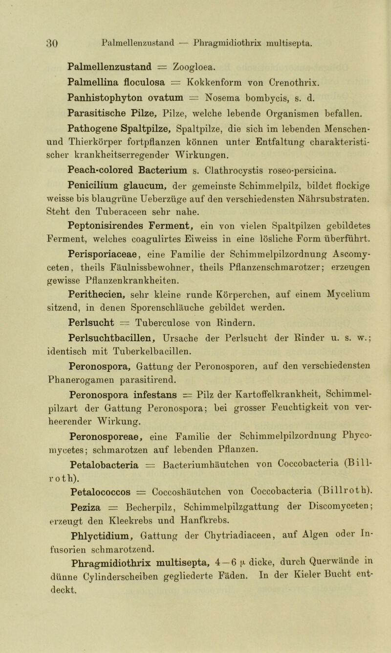 Palmellenzustand = Zoogloea. Palmellina floculosa = Kokkenform von Crenothrix. Panhistophyton ovatum = Nosema bombycis, s. d. Parasitische Pilze, Pilze, welcbe lebende Organismen befallen. Pathogene Spaltpilze, Spaltpilze, die sicb im lebenden Menschen- und Thierkorper fortpflanzen kdnnen unter Entfaltung charakteristi- scher krankbeitserregender Wirkungen. Peach-colored Bacterium s. Clathrocystis roseo-persicina. Penicilium glaucum, der gemeinste Schimmelpilz, bildet flockige weisse bis blaugriine Ueberziige auf den verschiedensten Nahrsubstraten. Steht den Tuberaceen sebr nabe. Peptonisirendes Ferment, ein von vielen Spaltpilzen gebildetes Ferment, welcbes coagulirtes Eiweiss in eine loslicbe Form iiberfiibrt. Perisporiaceae, eine Familie der Scbimmelpilzordnung Ascomy- ceten, tbeils Faulnissbewobner, tbeils Pflanzenscbmarotzer; erzeugen gewisse Pflanzenkrankbeiten. Perithecien, sebr kleine runde Korpercben, auf einem Mycelium sitzend, in denen Sporenscblaucbe gebildet werden. Perlsucht = Tuberculose von Rindern. Perlsuchtbacillen, Ursacbe der Perlsucbt der Binder u. s. w.; identiscb mit Tuberkelbacillen. Peronospora, Gattung der Peronosporen, auf den verschiedensten Pbanerogamen parasitirend. Peronospora infestans = Pilz der Kartoffelkrankbeit, Scbimmel- pilzart der Gattung Peronospora; bei grosser Feucbtigkeit von ver- beerender Wirkung. Peronosporeae, eine Familie der Scbimmelpilzordnung Pbyco- mycetes; scbmarotzen auf lebenden Pflanzen. Petalobacteria = Bacteriumbautcben von Coccobacteria (Bin- i’otb). Petalococcos = Coccosbiiutcben von Coccobacteria (Billrotb). Peziza = Becberpilz, Scbimmelpilzgattung der Discomyceten; erzeugt den Kleekrebs und Hanfkrebs. Phlyctidium, Gattung der Cbytriadiaceen, auf Algen oder In- fusorien scbmarotzend. Phragmidiothrix multisepta, 4 —6 [r dicke, durcb Querwiinde in diinne Cylinderscbeiben gegliederte Faden. In der Kieler Bucbt ent- deckt.