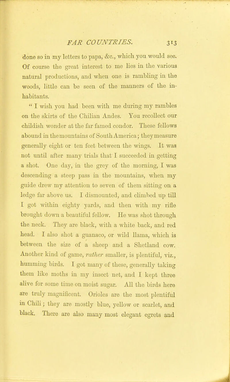 done so in my letters to papa, &c, which you would see. Of course the great interest to me lies in the various natural productions, and when one is rambling in the woods, little can be seen of the manners of the in- habitants.  I wish you had been with me during my rambles on the skirts of the Chilian Andes. You recollect our childish wonder at the far famed condor. These fellows abound in themountains of South America; they measure generally eight or ten feet between the wings. It was not until after many trials that I succeeded in getting a shot. One day, in the grey of the morning, I was descending a steep pass in the mountains, when my guide drew my attention to seven of them sitting on a ledge far above us. I dismounted, and climbed up till I got within eighty yards, and then with my rifle brought down a beautiful fellow. He was shot through the neck. They are black, with a white back, and red head. I also shot a guanaco, or wild llama, which is between the size of a sheep and a Shetland cow. Another kind of game, rather smaller, is plentiful, vrz., humming birds. I got many of these, generally taking them like moths in my insect net, and I kept three alive for some time on moist sugar. All the birds here are truly magnificent. Orioles are the most plentiful in Chilij they are mostly blue, yellow or scarlet, and black. There are also many most elegant egrets and