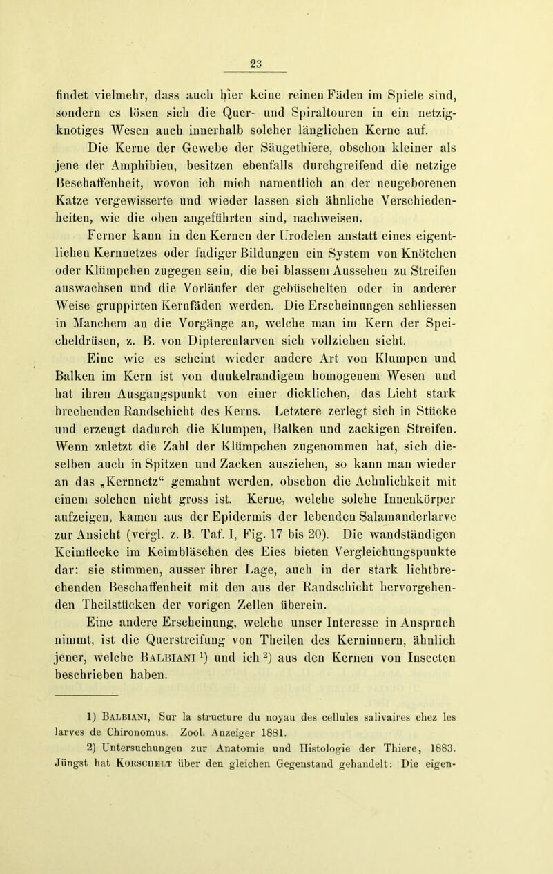 findet vielmehr, dass auch hier keine reinen Fäden im Spiele sind, sondern es lösen sich die Quer- und Spiraltouren in ein netzig- knotiges Wesen auch innerhalb solcher länglichen Kerne auf. Die Kerne der Gewebe der Säugethiere, obschon kleiner als jene der Amphibien, besitzen ebenfalls durchgreifend die netzige Beschaffenheit, wovon ich mich namentlich an der neugeborenen Katze vergewisserte und wieder lassen sich ähnliche Verschieden- heiten, wie die oben angeführten sind, nachweisen. Ferner kann in den Kernen der Urodelen anstatt eines eigent- lichen Kernnetzes oder fadiger Bildungen ein System von Knötchen oder Klümpchen zugegen sein, die bei blassem Aussehen zu Streifen auswachsen und die Vorläufer der gebüschelten oder in anderer Weise gruppirten Kernfäden werden. Die Erscheinungen schliessen in Manchem an die Vorgänge an, welche man im Kern der Spei- cheldrüsen, z. B. von Dipterenlarven sich vollziehen sieht. Eine wie es scheint wieder andere Art von Klumpen und Balken im Kern ist von dunkelrandigem homogenem Wesen und hat ihren Ausgangspunkt von einer dicklichen, das Licht stark brechenden Randschicht des Kerns. Letztere zerlegt sich in Stücke und erzeugt dadurch die Klumpen, Balken und zackigen Streifen. Wenn zuletzt die Zahl der Klümpchen zugenommen hat, sich die- selben auch in Spitzen und Zacken ausziehen, so kann man wieder an das ,Kernnetz“ gemahnt werden, obsebon die Aehnlichkeit mit einem solchen nicht gross ist. Kerne, welche solche Innenkörper aufzeigen, kamen aus der Epidermis der lebenden Salamanderlarve zur Ansicht (vergl. z. B. Taf. I, Fig. 17 bis 20). Die wandständigen Keimflecke im Keimbläschen des Eies bieten Vergleichungspunkte dar: sie stimmen, ausser ihrer Lage, auch in der stark lichtbre- chenden Beschaffenheit mit den aus der Randschicht hervorgehen- den Tbeilstücken der vorigen Zellen überein. Eine andere Erscheinung, welche unser Interesse in Anspruch nimmt, ist die Querstreifung von Theilen des Kerninnern, ähnlich jener, welche Balbiani j) und ich 1 2) aus den Kernen von Insecten beschrieben haben. 1) Balbiani, Sur la structure du noyau des cellules salivaires chez les larves de Chironomus. Zool. Anzeiger 1881. 2) Untersuchungen zur Anatomie und Histologie der Thiere, 1883. Jüngst hat Korsciiei T über den gleichen Gegenstand gehandelt: Die eigen-