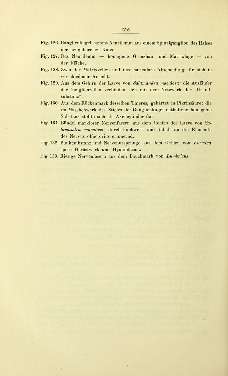 Fig. 126. Ganglienkugel saramt Neurilemm aus einem Spinalganglion des Halses der neugeborenen Katze. Fig. 127. Das Neurilemm — homogene Grenzhaut und Matrixlage — von der Fläche. Fig. 128. Zwei der Matrixzellen und ihre cuticulare Abscheidung für sich in verschiedener Ansicht Fig. 129. Aus dem Gehirn der Larve von Salamandra maculosa: die Ausläufer der Ganglienzellen verbinden sich mit dem Netzwerk der „Grund- substanz“. Fig. 130. Aus dem Rückenmark desselben Thieres, gehärtet in Pikrinsäure: die im Maschenwerk des Stieles der Ganglienkugel enthaltene homogene Substanz stellte sich als Axencylinder dar. Fig. 133. Bündel markloser Nervenfasern aus dem Gehirn der Larve von Sa- lamandra maculosa, durch Fachwerk und Inhalt an die Elemente des Nervus olfactorius erinnernd. Fig. 132. Punktsubstanz und Nervenursprünge aus dem Gehirn von Formica spec.: Gerüstwerk und Hyaloplasma. Fig. 133. Riesige Nervenfasern aus dem Bauchmark von Lumbricus.