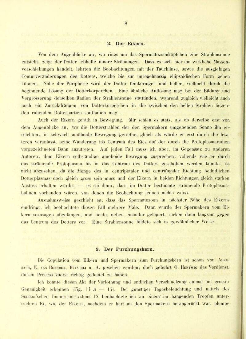 2. Der Eikern. Von dem Augenblicke an, wo rings um das Spermatozoenköpfchen eine Strahlensonne entsteht, zeigt der Dotter lebhafte innere Strömungen. Dass es sich hier um wirkliche Massen- verschiebungen handelt, lehrten die Beobachtungen mit der Tauchlinse, sowie die ausgiebigen Conturveränderungen des Dotters, welche bis zur unregelmässig ellipsoidischen Form gehen können. Nahe der Peripherie wird der Dotter feinkörniger und heller, vielleicht durch die beginnende Lösung der Dotterkörperchen. Eine ähnliche Auflösung mag bei der Bildung und Vergrösserung derselben Radien der Strahlensonne stattfinden, während zugleich vielleicht auch noch ein Zurückdrängen von Dotterkörperchen in die zwischen den hellen Strahlen liegen- den ruhenden Dotterpartien statthaben mag. Auch der Eikern geräth in Bewegung. Mir schien es stets, als ob derselbe erst von dem Augenblicke an, wo die Dotterstrahlen der den Spermakern umgebenden Sonne ihn er- reichten, in schwach amöboide Bewegung geriethe, gleich als würde er erst durch die letz- teren veranlasst, seine Wanderung ins Centrum des Eies auf der durch die Protoplasmaradien vorgezeichneten Bahn anzutreten. Auf jeden Fall muss ich aber, im Gegensatz zu anderen Autoren, dem Eikern selbständige amöboide Bewegung zusprechen; vollends wie er durch das strömende Protoplasma bis in das Centrum des Dotters geschoben werden könnte, ist nicht abzusehen, da die Menge des in centripetaler und centrifugaler Richtung befindlichen Dotterplasmas doch gleich gross sein muss und der Eikern in beiden Richtungen gleich starken Anstoss erhalten würde, -— es sei denn, dass im Dotter bestimmte strömende Protoplasma- bahnen vorhanden wären, von denen die Beobachtung jedoch nichts weiss. Ausnahmsweise geschieht es, dass das Spermatozoon in nächster Nähe des Eikerns eindringt, ich beobachtete diesen Fall mehrere Male. Dann wurde der Spermakern vom Ei- kern sozusagen abgefangen, und beide, neben einander gelagert, rücken dann langsam gegen das Centrum des Dotters vor. Eine Strahlensonne bildete sich in gewöhnlicher Weise. 3. Der Furchungskern. Die Copulation vom Eikern und Spermakern zum Furchungskern ist schon von Auer- bach, E. van Beneden, Butsciili u. A. gesehen worden; doch gebührt 0. Hertwig das Verdienst, diesen Process zuerst richtig gedeutet zu haben. Ich konnte diesen Akt der Verlöthung und endlichen Verschmelzung einmal mit grosser Genauigkeit erkennen (Fig. 14 A — 17). Bei günstiger Tagesbeleuchtung und mittels des SEiBERTSchen Immersionssystems IX beobachtete ich an einem im hangenden Tropfen unter- suchten Ei, wie der Eikern, nachdem er hart an den Spermakern herangerückt war, plumpe