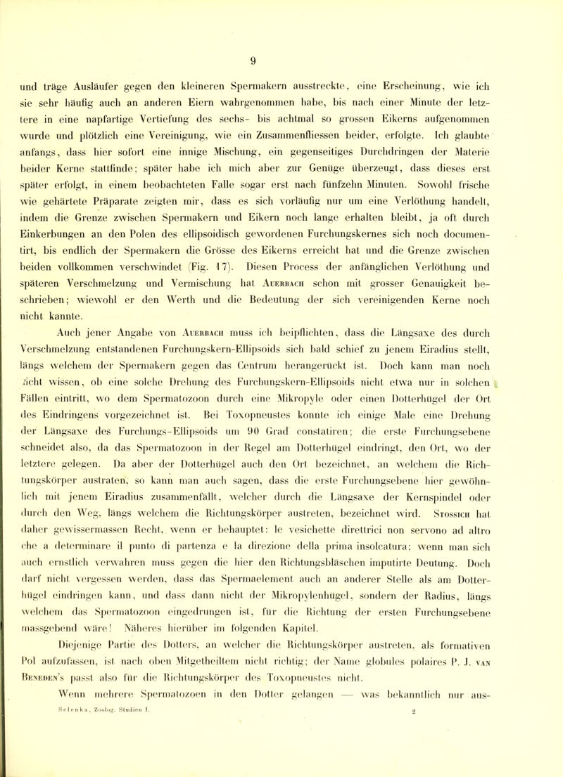 und träge Ausläufer gegen den kleineren Spermakern ausstreckte, eine Erscheinung, wie ich sie sehr häufig auch an anderen Eiern wahrgenommen habe, bis nach einer Minute der letz- tere in eine napfartige Vertiefung des sechs- bis achtmal so grossen Eikerns aufgenommen wurde und plötzlich eine Vereinigung, wie ein Zusammenfliessen beider, erfolgte. Ich glaubte anfangs, dass hier sofort eine innige Mischung, ein gegenseitiges Durchdringen der Materie beider Kerne stattfinde; später habe ich mich aber zur Genüge überzeugt, dass dieses erst später erfolgt, in einem beobachteten Falle sogar erst nach fünfzehn Minuten. Sowohl frische wie gehärtete Präparate zeigten mir, dass es sich vorläufig nur um eine Verlöthung handelt, indem die Grenze zwischen Spermakern und Eikern noch lange erhalten bleibt, ja oft durch Einkerbungen an den Polen des ellipsoidisch gewordenen Furchungskernes sich noch documen- tirt, bis endlich der Spermakern die Grösse des Eikerns erreicht hat und die Grenze zwischen beiden vollkommen verschwindet (Fig. 17). Diesen Process der anfänglichen Verlöthung und späteren Verschmelzung und Vermischung hat Auerbach schon mit grosser Genauigkeit be- schrieben; wiewohl er den Werth und die Bedeutung der sich vereinigenden Kerne noch nicht kannte. Auch jener Angabe von Auerbach muss ich beipflichten, dass die Längsaxe des durch Verschmelzung entstandenen Furchungskern-Ellipsoids sich bald schief zu jenem Eiradius stellt, längs welchem der Spermakern gegen das Centrum herangerückt ist. Doch kann man noch acht wissen, ob eine solche Drehung des Furchungskern-Ellipsoids nicht etwa nur in solchen Fällen eintritt, wo dem Spermatozoon durch eine Mikropyle oder einen Dotterhügel der Ort des Eindringens vorgezeichnet ist. Bei Toxopneust.es konnte ich einige Male eine Drehung der Längsaxe des Furchungs-Ellipsoids um 90 Grad constatiren; die erste Furchungsebene schneidet also, da das Spermatozoon in der Regel am Dotterhügel eindringt, den Ort, wo der letztere gelegen. Da aber der Dotterhügel auch den Ort bezeichnet, an welchem die Rich- tungskörper austraten, so kann man auch sagen, dass die erste Furchungsebene hier gewöhn- lich mit jenem Eiradius zusammenfällt, welcher durch die Längsaxe der Kernspindel oder durch den Weg, längs welchem die Richtungskörper austreten, bezeichnet wird. Stossich hat daher gewissermassen Recht, wenn er behauptet: le vesichette diretlrici non servono ad altro che a determinare il punto di partenza e la direzione clella prima insolcatura; wenn man sich auch ernstlich verwahren muss gegen die liier den Richtungsbläschen imputirte Deutung. Doch darf nicht vergessen werden, dass das Spermaelement auch an anderer Stelle als am Dotter- hügel eindringen kann, und dass dann nicht der Mikropylenhügel, sondern der Radius, längs welchem das Spermatozoon eingedrungen ist, für die Richtung der ersten Furchungsebene massgebend wäre! Näheres hierüber im folgenden Kapitel. Diejenige Partie des Dotters, an welcher die Richtungskörper austreten, als formativen Pol aufzufassen, ist nach oben Mitgetheiltem nicht richtig; der Name globales polaires P. .1. van Heneden’s passt also für die Richtungskörper des Toxopneustes nicht. Wenn mehrere Spermatozoen in den Dotter gelangen — was bekanntlich nur aus- Selenka, Zoolog. Studien I. 2