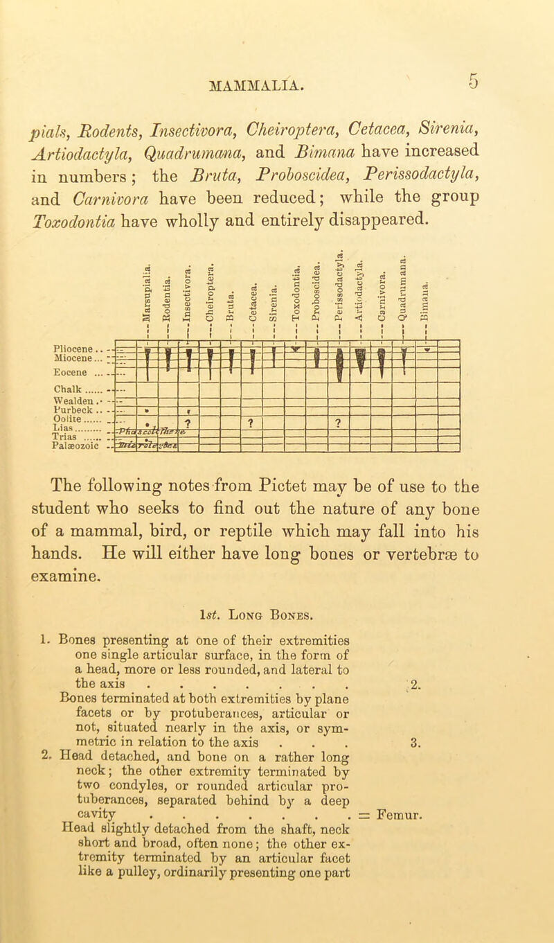 pials, Rodents, Insectivora, Cheiroptera, Cetacea, Sirenia, Artiodactyla, Quadrumcma, and Bimana have increased in numbers; the Brata, Proboscidea, Perissodactyla, and Carnivora have been reduced; while the group Toxodontia have wholly and entirely disappeared. Pliocene.. Miocene... Eocene ... Chalk Wealden .• Purbeck .. Oolite Lias Trias Palaeozoic The following notes from Pictet may be of use to the student who seeks to find out the nature of any bone of a mammal, bird, or reptile which may fall into his hands. He will either have long bones or vertebrae to examine. .3 <3 g 3 d o .2 '5, B .5 a. c P P § 1 g GJ I « & s • S i M s g 2 £ m o Li QJ S3 O 03 >> C3 T3 2 o 03 T3 CO C . H CL, ^ I I I ~— l* ! —r— i h t- * * t* |± ... -Pfia Jnu » At Taler 'ViA f ? 75 ? ? Is#. Long Bones. 1. Bones presenting at one of their extremities one single articular surface, in the form of a head, more or less rounded, and lateral to the axis ....... 2. Bones terminated at both extremities by plane facets or by protuberances, articular or not, situated nearly in the axis, or sym- metric in relation to the axis ... 3. 2. Head detached, and bone on a rather long neck; the other extremity terminated by two condyles, or rounded articular pro- tuberances, separated behind by a deep cavity — Femur. Head slightly detached from the shaft, neck short and broad, often none; the other ex- tremity terminated by an articular facet like a pulley, ordinarily presenting one part