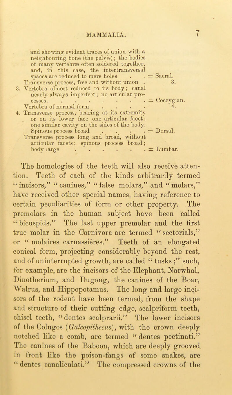 4. and showing evident traces of union with a neighbouring bone (the pelvis); the bodies of many vertebrae often soldered together, and, in this case, the intertransversal spaces are reduced to mere holes Transverse process, free and without union . Vertebra almost reduced to its body; canal nearly always imperfect; no articular pro- cesses ........ Vertebra of normal form .... Transverse process, bearing at its extremity or on its lower face one articular facet; one similar cavity on the sides of the body. Spinous process broad .... Transverse process long and broad, without articular facets; spinous process broad; body large = Sacral. 3. = Coccygian. 4. = Dorsal. = Lumbar. The homologies of the teeth will also receive atten- tion. Teeth of each of the kinds arbitrarily termed “incisors,” “canines,” “false molars,” and “molars,” have received other special names, having reference to certain peculiarities of form or other property. The premolars in the human subject have been called “ bicuspids.” The last upper premolar and the first true molar in the Carnivora are termed “ sectorials,” or “ molaires carnassieres.” Teeth of an elongated conical form, projecting considerably beyond the rest, and of uninterrupted growth, are called “ tusks ;” such, for example, are the incisors of the Elephant, Narwhal, Dinotherium, and Dugong, the canines of the Boar, Walrus, and Hippopotamus. The long and large inci- sors of the rodent have been termed, from the shape and structure of their cutting edge, scalpriform teeth, chisel teeth, “ dentes scalprarii.” The lower incisors of the Colugos (Galeopithecus), with the crown deeply notched like a comb, are termed “ dentes pectinati.” The canines of the Baboon, which are deeply grooved in front like the poison-fangs of some snakes, are “ dentes canaliculati.” The compressed crowns of the