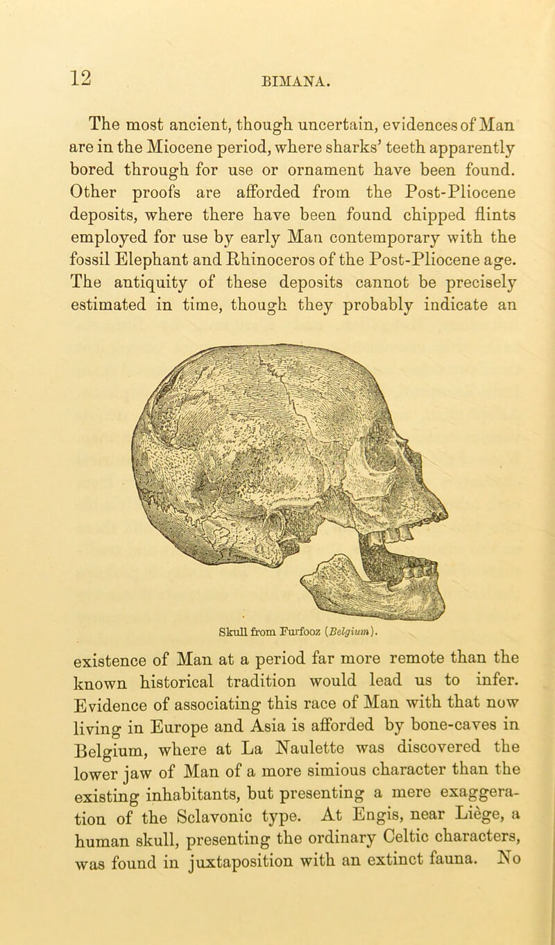 The most ancient, though uncertain, evidences of Man are in the Miocene period, where sharks’ teeth apparently bored through for use or ornament have been found. Other proofs are afforded from the Post-Pliocene deposits, where there have been found chipped flints employed for use by early Man contemporary with the fossil Elephant and Rhinoceros of the Post-Pliocene age. The antiquity of these deposits cannot be precisely estimated in time, though they probably indicate an Skull from Furfooz [Belgium). existence of Man at a period far more remote than the known historical tradition would lead us to infer. Evidence of associating this race of Man with that now living in Europe and Asia is afforded by bone-caves in Belgium, where at La Naulette was discovered the lower jaw of Man of a more simious character than the existing inhabitants, but presenting a mere exaggera- tion of the Sclavonic type. At Engis, near Liege, a human skull, presenting the ordinary Celtic chaiacters, was found in juxtaposition with an extinct fauna. No