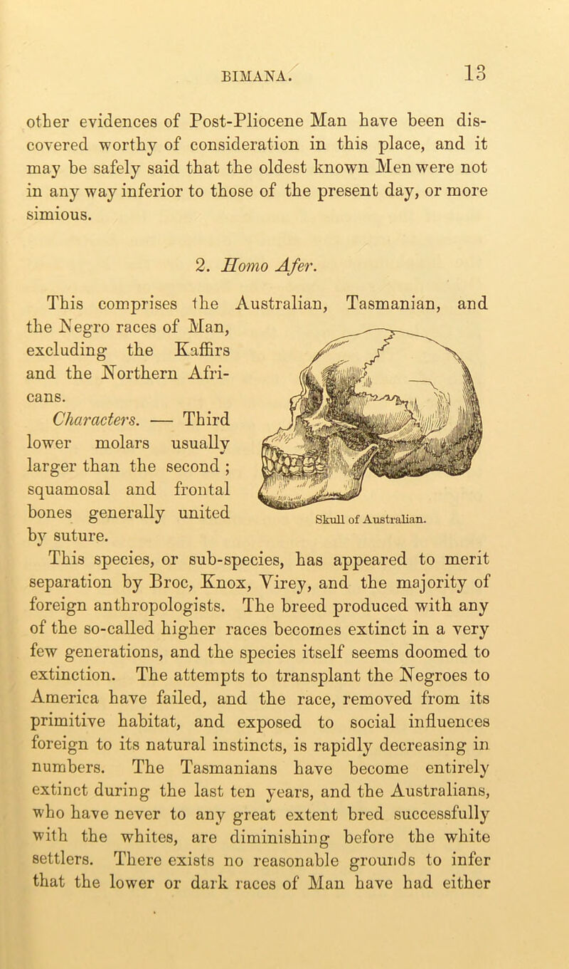 o other evidences of Post-Pliocene Man have been dis- covered worthy of consideration in this place, and it may be safely said that the oldest known Men were not in any way inferior to those of the present day, or more simious. Skull of Australian. 2. Homo Afer. This comprises the Australian, Tasmanian, and the Negro races of Man, excluding the Kaffirs and the Northern Afri- cans. Characters. — Third lower molars usually •/ larger than the second ; squamosal and frontal bones generally united by suture. This species, or sub-species, has appeared to merit separation by Broc, Knox, Virey, and the majority of foreign anthropologists. The breed produced with any of the so-called higher races becomes extinct in a very few generations, and the species itself seems doomed to extinction. The attempts to transplant the Negroes to America have failed, and the race, removed from its primitive habitat, and exposed to social influences foreign to its natural instincts, is rapidly decreasing in numbers. The Tasmanians have become entirely extinct during the last ten years, and the Australians, who have never to any great extent bred successfully with the whites, are diminishing before the white settlers. There exists no reasonable grounds to infer that the lower or dark races of Man have had either