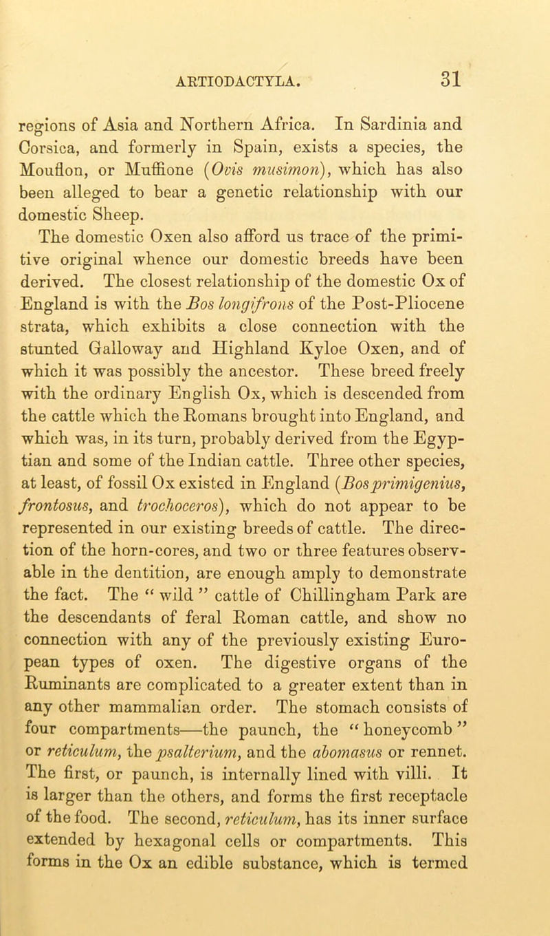 regions of Asia and Northern Africa. In Sardinia and Corsica, and formerly in Spain, exists a species, the Mouflon, or Muffione (Ovis musimon), which has also been alleged to bear a genetic relationship with our domestic Sheep. The domestic Oxen also afford us trace of the primi- tive original whence our domestic breeds have been derived. The closest relationship of the domestic Ox of England is with the Bos long frons of the Post-Pliocene strata, which exhibits a close connection with the stunted Galloway and Highland Kyloe Oxen, and of which it was possibly the ancestor. These breed freely with the ordinary English Ox, which is descended from the cattle which the Romans brought into England, and which was, in its turn, probably derived from the Egyp- tian and some of the Indian cattle. Three other species, at least, of fossil Ox existed in England (Bosprimigenius, frontosus, and trochoceros), which do not appear to be represented in our existing breeds of cattle. The direc- tion of the horn-cores, and two or three features observ- able in the dentition, are enough amply to demonstrate the fact. The “ wild ” cattle of Chillingham Park are the descendants of feral Roman cattle, and show no connection with any of the previously existing Euro- pean types of oxen. The digestive organs of the Ruminants are complicated to a greater extent than in any other mammalian order. The stomach consists of four compartments—the paunch, the “ honeycomb ” or reticulum, the psalterium, and the abomasus or rennet. The first, or paunch, is internally lined with villi. It is larger than the others, and forms the first receptacle of the food. The second, reticulum, has its inner surface extended by hexagonal cells or compartments. This forms in the Ox an edible substance, which is termed