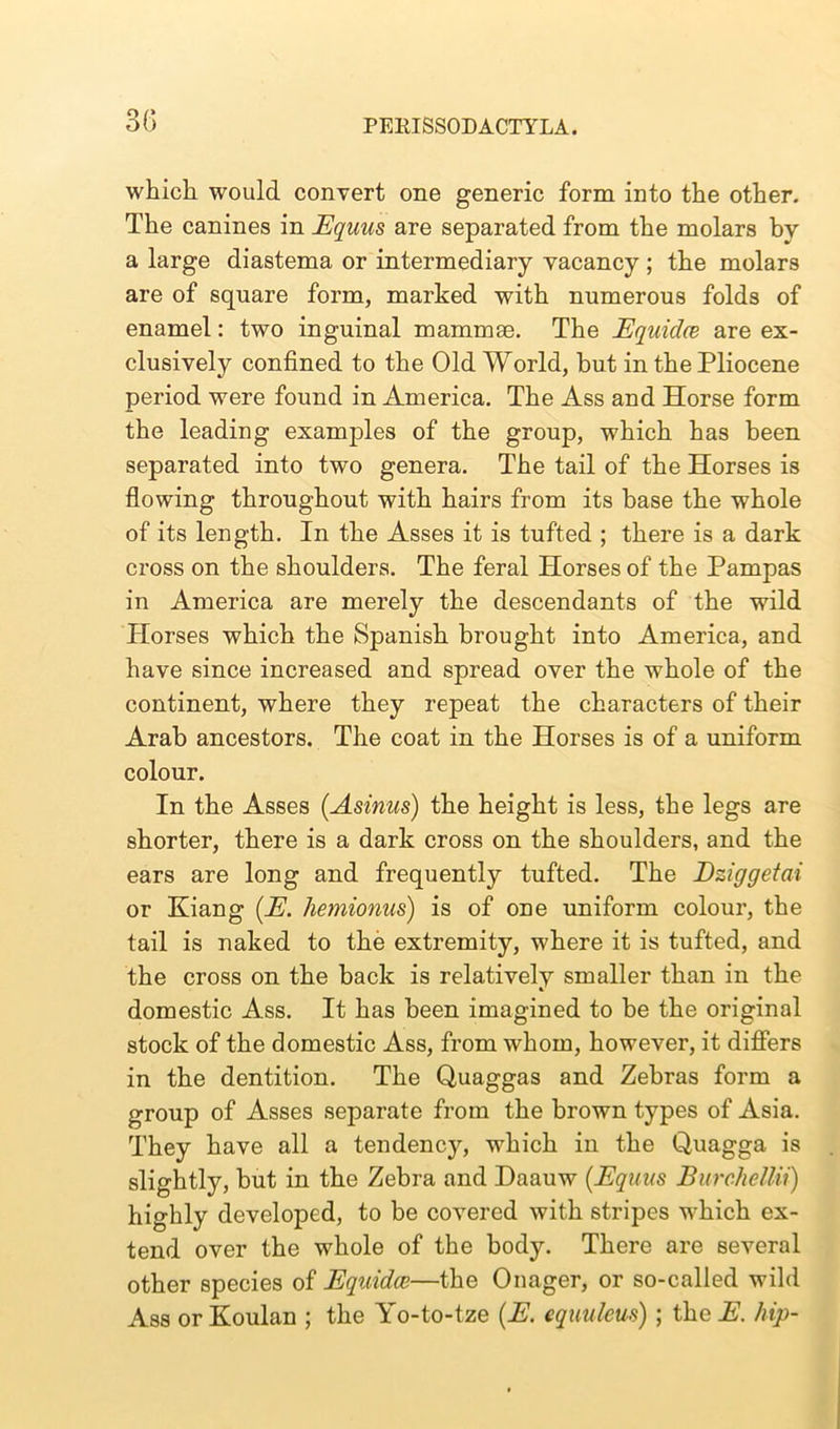 which would convert one generic form into the other. The canines in Equus are separated from the molars bv a large diastema or intermediary vacancy; the molars are of square form, marked with numerous folds of enamel: two inguinal mammae. The Equidce are ex- clusively confined to the Old World, but in the Pliocene period were found in America. The Ass and Horse form the leading examples of the group, which has been separated into two genera. The tail of the Horses is flowing throughout with hairs from its base the whole of its length. In the Asses it is tufted ; there is a dark cross on the shoulders. The feral Horses of the Pampas in America are merely the descendants of the wild Horses which the Spanish brought into America, and have since increased and spread over the whole of the continent, where they repeat the characters of their Arab ancestors. The coat in the Horses is of a uniform colour. In the Asses (Asinus) the height is less, the legs are shorter, there is a dark cross on the shoulders, and the ears are long and frequently tufted. The Dziggetai or Kiang (.E. hemionus) is of one uniform colour, the tail is naked to the extremity, where it is tufted, and the cross on the back is relatively smaller than in the domestic Ass. It has been imagined to be the original stock of the domestic Ass, from whom, however, it differs in the dentition. The Quaggas and Zebras form a group of Asses separate from the brown types of Asia. They have all a tendency, which in the Quagga is slightly, but in the Zebra and Haauw (Equus Burchellii) highly developed, to be covered with stripes which ex- tend over the whole of the body. There are several other species of Equidce—the Onager, or so-called wild Ass or Koulan ; the Yo-to-tze (E. equuleus) ; the E. hip-