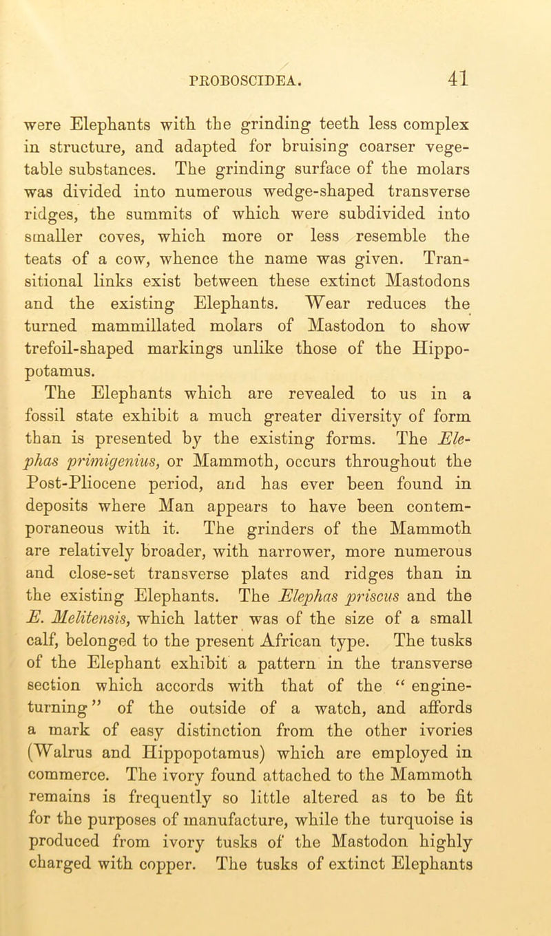 were Elephants with, the grinding teeth less complex in structure, and adapted for bruising coarser vege- table substances. The grinding surface of the molars was divided into numerous wedge-shaped transverse ridges, the summits of which were subdivided into smaller coves, which more or less resemble the teats of a cow, whence the name was given. Tran- sitional links exist between these extinct Mastodons and the existing Elephants. Wear reduces the turned mammillated molars of Mastodon to show trefoil-shaped markings unlike those of the Hippo- potamus. The Elephants which are revealed to us in a fossil state exhibit a much greater diversity of form than is presented by the existing forms. The Ele- phas primigenius, or Mammoth, occurs throughout the Post-Pliocene period, and has ever been found in deposits where Man appears to have been contem- poraneous with it. The grinders of the Mammoth are relatively broader, with narrower, more numerous and close-set transverse plates and ridges than in the existing Elephants. The Elephns prisons and the E. Melitensis, which latter was of the size of a small calf, belonged to the present African type. The tusks of the Elephant exhibit a pattern in the transverse section which accords with that of the “ engine- turning ” of the outside of a watch, and affords a mark of easy distinction from the other ivories (Walrus and Hippopotamus) which are employed in commerce. The ivory found attached to the Mammoth remains is frequently so little altered as to be fit for the purposes of manufacture, while the turquoise is produced from ivory tusks of the Mastodon highly charged with copper. The tusks of extinct Elephants