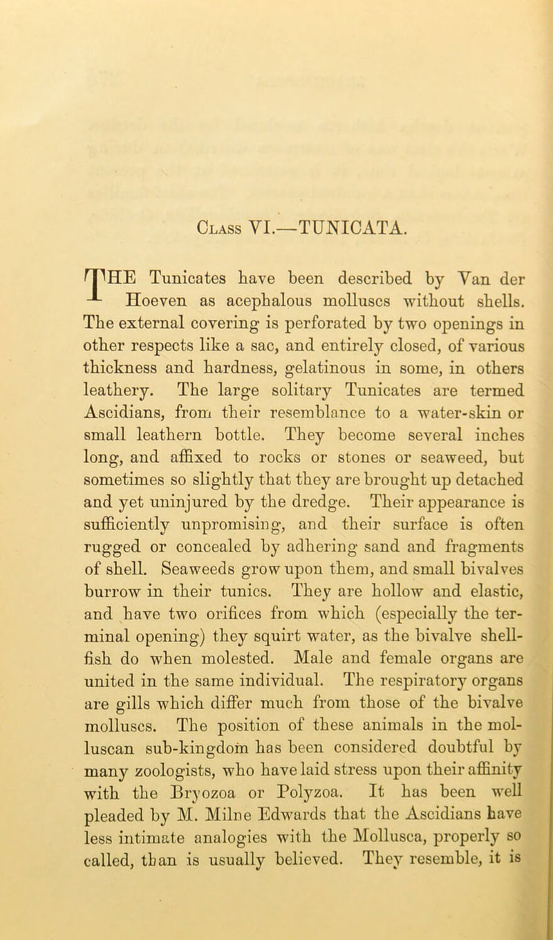 Class VI.—TUNICATA. HP HE Tunica tes have been described by Van der Hoeven as acephalous molluscs without shells. The external covering is perforated by two openings in other respects like a sac, and entirely closed, of various thickness and hardness, gelatinous in some, in others leathery. The large solitary Tunicates are termed Ascidians, from their resemblance to a water-skin or small leathern bottle. They become several inches long, and affixed to rocks or stones or seaweed, but sometimes so slightly that they are brought up detached and yet uninjured by the dredge. Their appearance is sufficiently unpromising, and their surface is often rugged or concealed by adhering sand and fragments of shell. Seaweeds grow upon them, and small bivalves burrow in their tunics. They are hollow and elastic, and have two orifices from which (especially the ter- minal opening) they squirt water, as the bivalve shell- fish do when molested. Male and female organs are united in the same individual. The respiratory organs are grills which differ much from those of the bivalve molluscs. The position of these animals in the mol- luscan sub-kingdom has been considered doubtful by many zoologists, who have laid stress upon their affinity with the Bryozoa or Polyzoa. It has been well pleaded by M. Milne Edwards that the Ascidians have less intimate analogies with the Mollusea, properly so called, than is usually believed. They resemble, it is