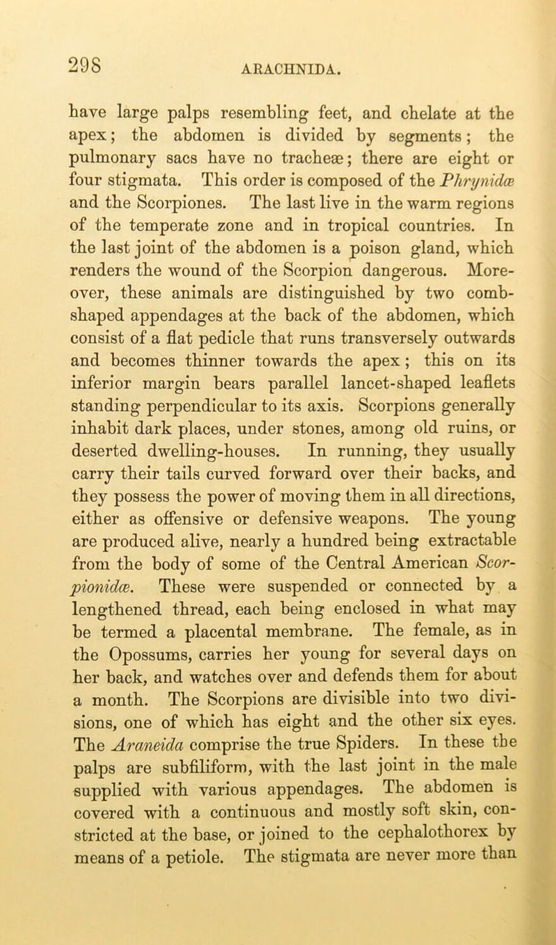 have large palps resembling feet, and chelate at the apex; the abdomen is divided by segments; the pulmonary sacs have no tracheae; there are eight or four stigmata. This order is composed of the Phrynidce and the Scorpiones. The last live in the warm regions of the temperate zone and in tropical countries. In the last joint of the abdomen is a poison gland, which renders the wound of the Scorpion dangerous. More- over, these animals are distinguished by two comb- shaped appendages at the hack of the abdomen, which consist of a flat pedicle that runs transversely outwards and becomes thinner towards the apex; this on its inferior margin bears parallel lancet-shaped leaflets standing perpendicular to its axis. Scorpions generally inhabit dark places, under stones, among old ruins, or deserted dwelling-houses. In running, they usually carry their tails curved forward over their backs, and they possess the power of moving them in all directions, either as offensive or defensive weapons. The young are produced alive, nearly a hundred being extractable from the body of some of the Central American Scor- pionidce. These were suspended or connected by a lengthened thread, each being enclosed in what may be termed a placental membrane. The female, as in the Opossums, carries her young for several days on her back, and watches over and defends them for about a month. The Scorpions are divisible into two divi- sions, one of which has eight and the other six eyes. The Araneida comprise the true Spiders. In these the palps are subfiliform, with the last joint in the male supplied with various appendages. The abdomen is covered with a continuous and mostly soft skin, con- stricted at the base, or joined to the cephalothorex by means of a petiole. The stigmata are never more than