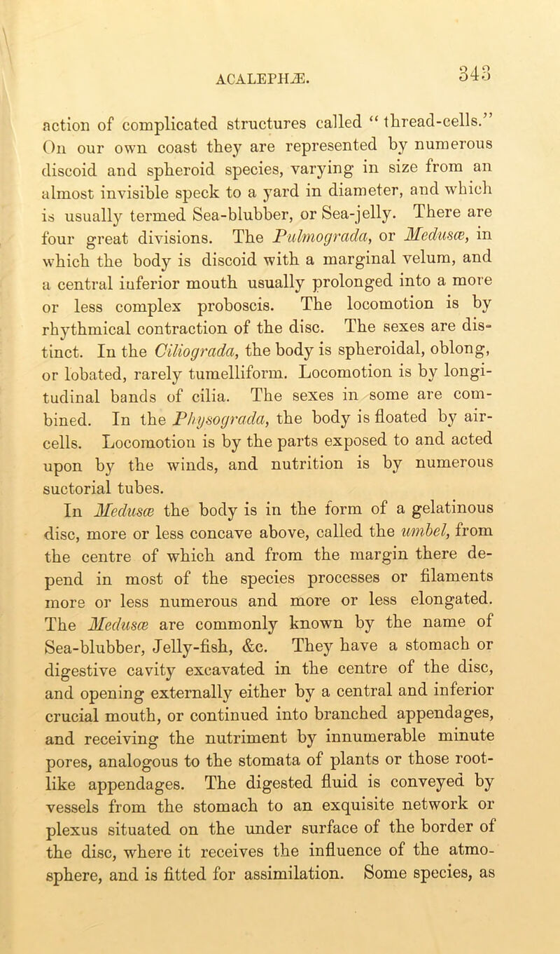 action of complicated structures called “ thread-cells. On our own coast they are represented by numerous discoid and spheroid species, varying in size from an almost invisible speck to a yard in diameter, and which is usually termed Sea-blubber, or Sea-jelly. There are four great divisions. The Pulmograda, or Medusce, in which the body is discoid with a marginal velum, and a central inferior mouth usually prolonged into a more or less complex proboscis. The locomotion is by rhythmical contraction of the disc. The sexes are dis= tinct. In the Ciliograda, the body is spheroidal, oblong, or lobated, rarely tumelliforin. Locomotion is by longi- tudinal bands of cilia. The sexes in some are com- bined. In the Physograda, the body is floated by air- cells. Locomotion is by the parts exposed to and acted upon by the winds, and nutrition is by numerous suctorial tubes. In Medusce the body is in the form of a gelatinous disc, more or less concave above, called the umbel, from the centre of which and from the margin there de- pend in most of the species processes or filaments more or less numerous and more or less elongated. The Medusce are commonly known by the name of Sea-blubber, Jelly-fish, &c. They have a stomach or digestive cavity excavated in the centre of the disc, and opening externally either by a central and inferior crucial mouth, or continued into branched appendages, and receiving the nutriment by innumerable minute pores, analogous to the stomata of plants or those root- like appendages. The digested fluid is conveyed by vessels from the stomach to an exquisite network or plexus situated on the under surface of the border of the disc, where it receives the influence of the atmo- sphere, and is fitted for assimilation. Some species, as