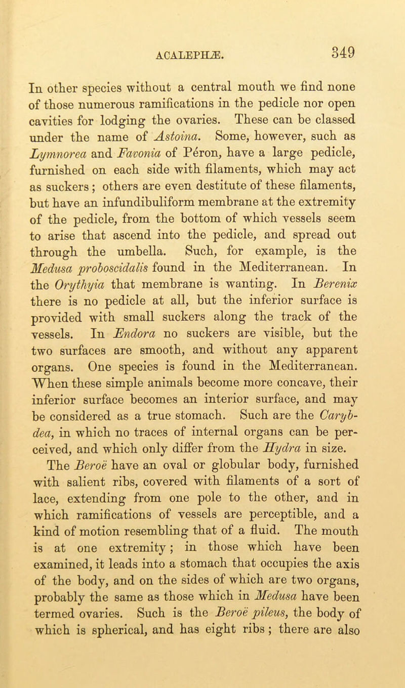 In other species without a central mouth we find none of those numerous ramifications in the pedicle nor open cavities for lodging the ovaries. These can be classed under the name of Astoina. Some, however, such as Lymnorea and Favonia of Peron, have a large pedicle, furnished on each side with filaments, which may act as suckers ; others are even destitute of these filaments, but have an infundibuliform membrane at the extremity of the pedicle, from the bottom of which vessels seem to arise that ascend into the pedicle, and spread out through the umbella. Such, for example, is the Medusa proboscidalis found in the Mediterranean. In the Orythyia that membrane is wanting. In Berenix there is no pedicle at all, but the inferior surface is provided with small suckers along the track of the vessels. In Endora no suckers are visible, but the two surfaces are smooth, and without any apparent organs. One species is found in the Mediterranean. When these simple animals become more concave, their inferior surface becomes an interior surface, and may be considered as a true stomach. Such are the Caryb- dea, in which no traces of internal organs can be per- ceived, and which only differ from the Hydra in size. The Beroe have an oval or globular body, furnished with salient ribs, covered with filaments of a sort of lace, extending from one pole to the other, and in which ramifications of vessels are perceptible, and a kind of motion resembling that of a fluid. The mouth is at one extremity; in those which have been examined, it leads into a stomach that occupies the axis of the body, and on the sides of which are two organs, probably the same as those which in Medusa have been termed ovaries. Such is the Beroe pileus, the body of which is spherical, and has eight ribs ; there are also