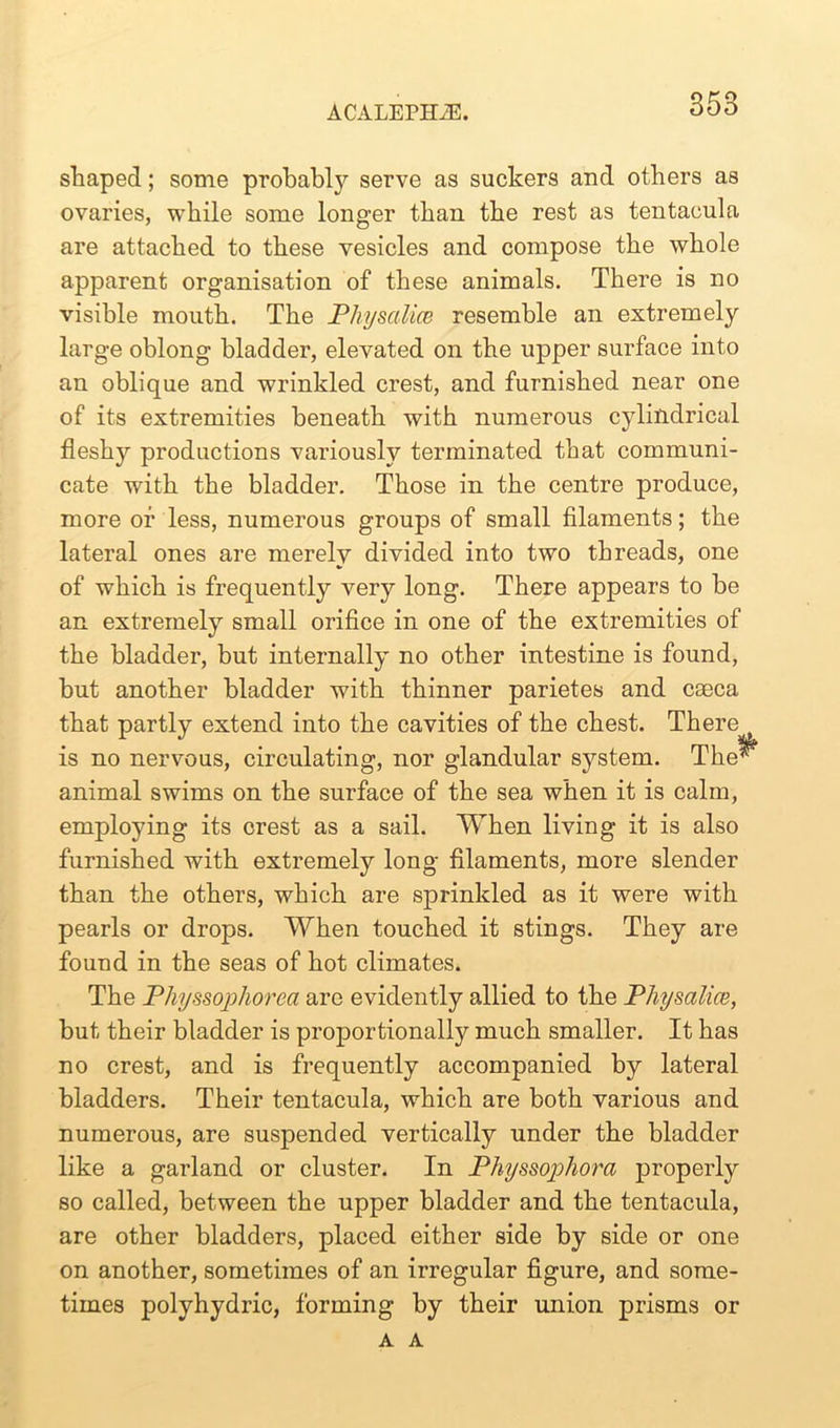 shaped; some probably serve as suckers and others as ovaries, while some longer than the rest as tentacula are attached to these vesicles and compose the whole apparent organisation of these animals. There is no visible mouth. The Physalice resemble an extremely large oblong bladder, elevated on the upper surface into an oblique and wrinkled crest, and furnished near one of its extremities beneath with numerous cylindrical fleshy productions variously terminated that communi- cate with the bladder. Those in the centre produce, more or less, numerous groups of small filaments; the lateral ones are merely divided into two threads, one of which is frequently very long. There appears to be an extremely small orifice in one of the extremities of the bladder, but internally no other intestine is found, but another bladder with thinner parietes and caeca that partly extend into the cavities of the chest. There ( is no nervous, circulating, nor glandular system. The*^ animal swims on the surface of the sea when it is calm, employing its crest as a sail. When living it is also furnished with extremely long filaments, more slender than the others, which are sprinkled as it were with pearls or drops. When touched it stings. They are found in the seas of hot climates. The Physsophorea are evidently allied to the Physalice, but their bladder is proportionally much smaller. It has no crest, and is frequently accompanied by lateral bladders. Their tentacula, which are both various and numerous, are suspended vertically under the bladder like a garland or cluster. In Physsophora properly so called, between the upper bladder and the tentacula, are other bladders, placed either side by side or one on another, sometimes of an irregular figure, and some- times polyhydric, forming by their union prisms or a A