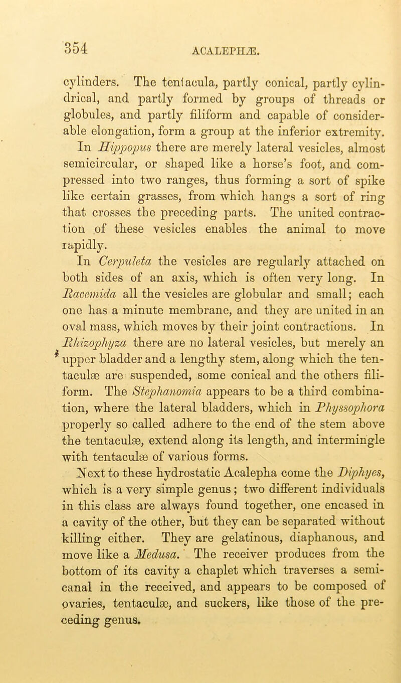 cylinders. The tenfacula, partly conical, partly cylin- drical, and partly formed by groups of threads or globules, and partly filiform and capable of consider- able elongation, form a group at the inferior extremity. In Hippopus there are merely lateral vesicles, almost semicircular, or shaped like a horse’s foot, and com- pressed into two ranges, thus forming a sort of spike like certain grasses, from which hangs a sort of ring that crosses the preceding parts. The united contrac- tion of these vesicles enables the animal to move rapidly. In Cerpuleta the vesicles are regularly attached on both sides of an axis, which is often very long. In Racemida all the vesicles are globular and small; each one has a minute membrane, and they are united in an oval mass, which moves by their joint contractions. In Rhizophyza there are no lateral vesicles, but merely an * upper bladder and a lengthy stem, along which the ten- taculae are suspended, some conical and the others fili- form. The Stephanomia appears to be a third combina- tion, where the lateral bladders, which in P/iyssojjhora properly so called adhere to the end of the stem above the tentaculae, extend along its length, and intermingle with tentaculae of various forms. Next to these hydrostatic Acalepha come the Diphyes, which is a very simple genus; two different individuals in this class are always found together, one encased in a cavity of the other, but they can be separated without killing either. They are gelatinous, diaphanous, and move like a Medusa. The receiver produces from the bottom of its cavity a chaplet which traverses a semi- canal in the received, and appears to be composed of ovaries, tentaculae, and suckers, like those of the pre- ceding genus.