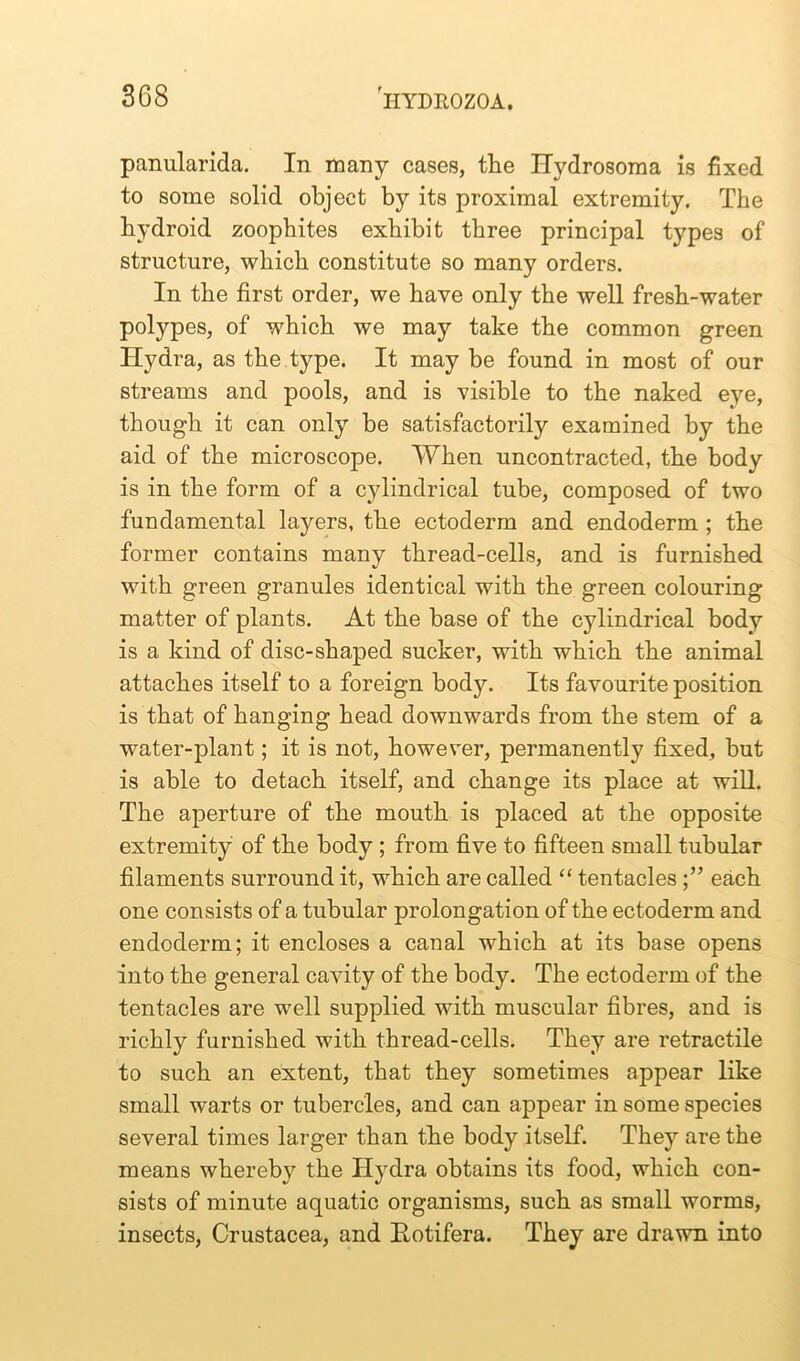 panularida. In many cases, the Hydrosoma is fixed to some solid object by its proximal extremity. The hydroid zoophites exhibit three principal types of structure, which constitute so many orders. In the first order, we have only the well fresh-water polypes, of which we may take the common green Hydra, as the type. It may be found in most of our streams and pools, and is visible to the naked eye, though it can only be satisfactorily examined by the aid of the microscope. When uncontracted, the body is in the form of a cylindrical tube, composed of two fundamental layers, the ectoderm and endoderm ; the former contains many thread-cells, and is furnished with green granules identical with the green colouring matter of plants. At the base of the cylindrical body is a kind of disc-shaped sucker, with which the animal attaches itself to a foreign body. Its favourite position is that of hanging head downwards from the stem of a water-plant; it is not, however, permanently fixed, but is able to detach itself, and change its place at will. The aperture of the mouth is placed at the opposite extremity of the body ; from five to fifteen small tubular filaments surround it, which are called “ tentacles each one consists of a tubular prolongation of the ectoderm and endoderm; it encloses a canal which at its base opens into the general cavity of the body. The ectoderm of the tentacles are well supplied with muscular fibres, and is richly furnished with thread-cells. They are retractile to such an extent, that they sometimes appear like small w’arts or tubercles, and can appear in some species several times larger than the body itself. They are the means whereby the Hydra obtains its food, which con- sists of minute aquatic organisms, such as small worms, insects, Crustacea, and Rotifera. They are drawn into