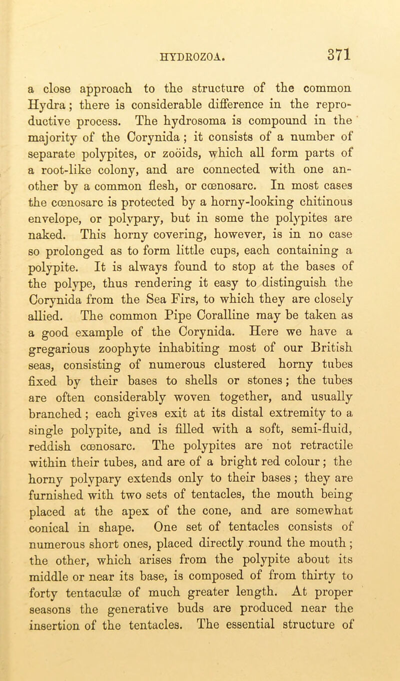 a close approach to the structure of the common Hydra ; there is considerable difference in the repro- ductive process. The hydrosoma is compound in the majority of the Corynida ; it consists of a number of separate polypites, or zooids, which all form parts of a root-like colony, and are connected with one an- other by a common flesh, or ccenosarc. In most cases the ccenosarc is protected by a horny-looking chitinous envelope, or polypary, but in some the polypites are naked. This horny covering, however, is in no case so prolonged as to form little cups, each containing a polypite. It is always found to stop at the bases of the polype, thus rendering it easy to distinguish the Corynida from the Sea Firs, to which they are closely allied. The common Pipe Coralline may be taken as a good example of the Corynida. Here we have a gregarious zoophyte inhabiting most of our British seas, consisting of numerous clustered horny tubes fixed by their bases to shells or stones; the tubes are often considerably woven together, and usually branched ; each gives exit at its distal extremity to a single polypite, and is filled with a soft, semi-fluid, reddish coenosarc. The polypites are not retractile within their tubes, and are of a bright red colour; the horny polvpary extends only to their bases; they are furnished with two sets of tentacles, the mouth being placed at the apex of the cone, and are somewhat conical in shape. One set of tentacles consists of numerous short ones, placed directly round the mouth; the other, which arises from the polypite about its middle or near its base, is composed of from thirty to forty tentaculae of much greater length. At proper seasons the generative buds are produced near the insertion of the tentacles. The essential structure of