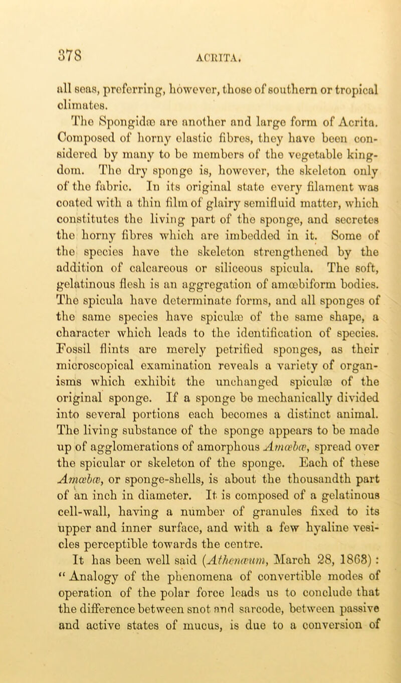 all sons, preferring, however, thoso of southern or tropicul climates. The SpongidflQ are another and largo form of Acrita. Composed of horny elastic fibres, they have been con- sidered by many to bo members of the vegetable king- dom. The dry sponge is, however, the skeleton only of tho fabric. In its original state every filament was coated with a thin film of glairy semifluid matter, which constitutes tho living part of tho sponge, and secretes tho horny fibres which are imbedded in it. Some of the species have tho skeleton strengthened by the addition of calcareous or siliceous spieula. The soft, gelatinous flesh is an aggregation of amoebiform bodies. The spieula havo determinate forms, and all sponges of the same species have spicuko of the same shape, a character which leads to the identification of species. Fossil flints aro merely petrified sponges, as their microscopical examination reveals a variety of organ- isms which exhibit the unchanged spiculoo of the original sponge. If a sponge bo mechanically divided into several portions each becomes a distinct animal. The living substance of the sponge appears to be made up of agglomerations of amorphous Amoeba% spread over the spicular or skeleton of the sponge. Each of these Amcvbfc, or sponge-shells, is about the thousandth part of an inch in diameter. It is composed of a gelatinous cell-wall, having a number of granules fixed to its upper and inner surface, and with a few hyaline vesi- cles perceptible towards the centre. It has been well said (Athcnamm, March 28, 1868): “ Analogy of the phenomena of convertible modes of operation of the polar force leads us to conclude that the difference between snot and sarcode, between passive and active states of mucus, is due to a conversion of