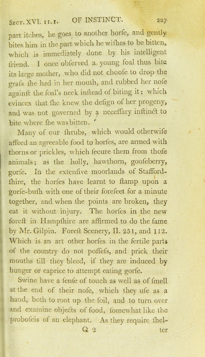 part itches, he goes to another horfe, and gently bites him in the part which he withes to be bitten, which is immediately done by his intelligent friend. I once obferved a young foal thus bite its large mother, who did not choofe to diop the grafs fhe had in her mouth, and rubbed her nofe affainft the foal’s neck inftead of biting it; which o „ evinces that flic knew the detign of her progeny, and was not governed by a necetfary inftindl to bite where fhe was bitten. Many of our fhrubs, which would otherwife afford an agreeable food to horfes, are armed with thorns or prickles, which fecure them from thofe animals; as the holly, hawthorn, goofeberry, gorfe. In the extentive moorlands of Stafford- fhire, the horfes have learnt to ffamp upon a gorfe-bufh with one of their forefeet for a minute together, and when the points are broken, they eat it without injury. The horfes in the new foreft in Hampfhire are affirmed to do the fame by Mr. Gilpin. Foreft Scenery, II. 251, and 112. Which is an art other horfes in the fertile parts of the country do not poffefs, and prick their mouths till they bleed, if they are induced by hunger or caprice to attempt eating gorfe. Swine have a fenfe of touch as well as of fmell at the end of their nofe, which they ufe as a hand, both to root up the foil, and to turn over and examine objetds of food, fomcwhat like the proboicis of an elephant. As they require fhel-