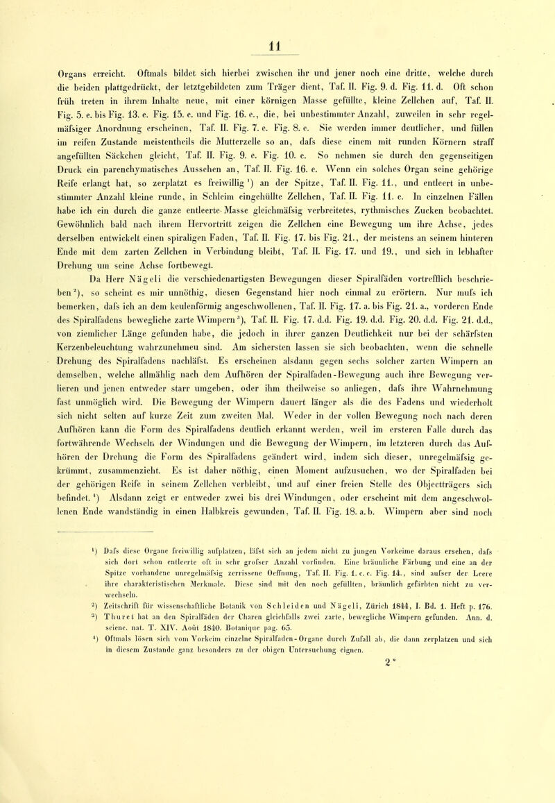 Organs erreicht. Oftmals bildet sich hierbei zwischen ihr und jener noch eine di'itte, welche durch die beiden plattgedrückt, der letztgebildeten zum Ti'äger dient, Taf. II. Fig. 9. d. Fig. 11. d. Oft schon früh treten in ihrem hihalte neue, mit einer körnigen Masse gefüllte, kleine Zellchen auf, Taf II. Fig. 5. e. bis Fig. 13. e. Fig. 15. e. und Fig. 16. e., die, bei unbestimmter Anzahl, zuweilen in sehr regel- mäfsiger Anordnung erscheinen, Taf. II. Fig. 7. e. Fig. 8. e. Sie Averden immer deutlicher, und füllen im reifen Zustande meistentheils die Mutterzelle so an, dafs diese einem mit runden Körnern straff angefüllten Säckchen gleicht, Taf. II. Fig. 9. e. Fig. 10. c. So nehmen sie durch den gegenseitigen Druck ein parenchjmatisches Aussehen an, Taf. II. Fig. 16. e. Wenn ein solches Organ seine gehörige Reife ei-langt hat, so zerplatzt es freiAvillig') an der Spitze, Taf II. Fig. 11., und entleert in unbe- stimmter Anzahl kleine runde, in Schleim eingehüllte Zellchen, Taf. II. Fig. 11. e. In einzelnen Fällen habe ich ein durch die ganze entleerte- Masse gleichmäfsig verbreitetes, rjthmisches Zucken beobachtet. Gewöhnlich bald nach ihrem Hervortritt zeigen die Zellchen eine Bewegung um ihre Achse, jedes derselben entwickelt einen spiraligen Faden, Taf II. Fig. 17. bis F'ig. 21., der meistens an seinem hinteren Ende mit dem zarten Zellchen in Vei'bindung bleibt, Taf II. Fig. 17. und 19., und sich in lebhafter Drehung um seine Achse fortbewegt. Da Herr Nägeli die verschiedenartigsten Bewegungen dieser Spiralfäden vortreflHch beschrie- ben^), so scheint es mir unnöthig, diesen Gegenstand hier noch einmal zu erörtern. Nur mufs ich bemerken, dafs ich an dem keiüenförmig angeschwollenen, Taf II. Fig. 17. a. bis Fig. 21. a., vorderen Ende des Spiralfadens bewegliche zarte Wimpern Taf II. Fig. 17. d.d. Fig. 19. d.d. Fig. 20. d.d. Fig. 21. d.d., von ziemlicher Länge gefunden habe, die jedoch in ihrer ganzen Deutlichkeit nur bei der schärfsten Kerzenbeleuchtung wahrzunehmen sind. Am sichersten lassen sie sich beobachten, wenn die schnelle Drehung des Spiralfadens nachläfst. Es erscheinen alsdann gegen sechs solcher zarten Wimpern an demselben, welche allmählig nach dem Aufhören der Spiralfaden-Bewegung auch ihre BcAvegiuig ver- lieren und jenen entweder starr umgeben, oder ihm theilweise so anliegen, dafs ihre Wahrnehmung fast unmöglich wird. Die Bewegung der Wimpern dauert länger als die des Fadens und wiederholt sich nicht selten auf kurze Zeit zum ZAveitcn Mal. Weder in der vollen Bewegung noch nach deren Aufhören kann die Form des Spiralfadens deutlich erkannt werden, weil im ersteren Falle durch das fortwährende Wechseln der Windungen und die Bewegung der Wimpern, im letzteren durch das Auf- hören der Drehung die Form des Spiralfadens geändert wird, indem sich dieser, unregelmäfsig ge- krümmt, zusammenzieht. Es ist daher nöthig, einen Moment aufzusuchen, wo der Spiralfaden bei der gehörigen Reife in seinem Zellchen vei'bleibt, und auf einer freien Stelle des Objectträgers sich befindet.^) Alsdann zeigt er entweder zwei bis drei Windungen, oder erscheint mit dem angesclnvol- lenen Ende wandständig in einen Halbkreis gewunden, Taf II. Fig. 18. a.b. Wimpern aber sind noch ') Dafs diese Organe freiwillig aufplatzen, l'afst sieh an jedem nieht zu jungen Vorkeime daraus ersehen, dafs sich dort schon entleerte oft in sehr grofser Anzahl vorfinden. Eine bräunliche Färbung und eine an der Spitze vorhandene unregelmäfsig zerrissene Oeffnung, Taf. II. Fig. 1. c. e. Fig. 14., sind aufser der Leere ihre charakteristischen Merkmale. Diese sind mit den noch gefüllten, bräunlich gefärbten nicht zu ver- wechseln. 2) Zeitschrift für wissenschaftliche Botanik von Schleiden und Nägeli, Zürich 1844, I. Bd. 1. lieft p. 176. ^) Thuret hat an den Spiralfäden der Charen gleichfalls zwei zarte, bewegliche Wimpern gefunden. Ann. d. scienc. nat. T. XIV. Aoiit 1840. Botanique pag. 65. Oftmals lösen sich vom Vorkeim einzelne Spiralfaden-Organe durch Zufall ab, die dann zerplatzen und sich in diesem Zustande ganz besonders zu der obigen Untersuchung eignen. 2\