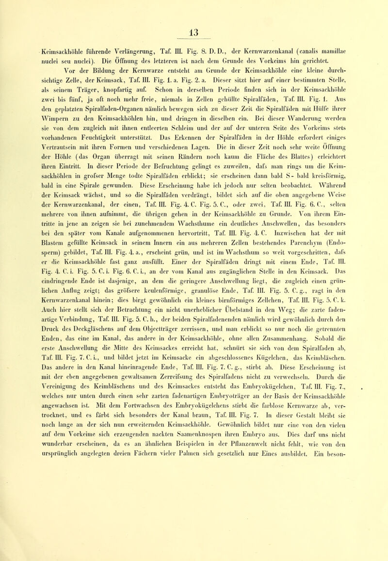•Keimsackhöhle führende Verlängerung, Taf. III. Fig. 8. D.D., der Kernwarzenkanal (canalis maniillac nuclei seu nuclei). Die Öffnung des letzteren ist nach dem Grunde des Vorkeims hin gerichtet. Vor der Bildung der Kernwarze entstellt am Grunde der Keimsackhöhle eine kleine durch- sichtige Zelle, der Keimsack, Taf. III. Fig. 1. a. Fig. 2. a. Dieser sitzt hier auf einer bestimmten Stolle, als seinem Träger, knopfartig auf. Schon in derselben Periode finden sich in der Keimsackhcihlc zwei bis fünf, ja oft noch mehr freie, niemals in Zellen gehüllte Spiralfäden, Taf HI. Fig. 1. Aus den geplatzten Spiralfaden-Organen nämlich bewegen sich zu dieser Zeit die Spiralfäden mit Hülfe ihrer Wimpern zu den Kcimsackhöhlen hin, und dringen in dieselben ein. Bei dieser Wanderung werden sie von dem zugleich mit ihnen entleerten Schleim und der auf der unteren Seite des Vorkeims stets vorhandenen Feuchtigkeit unterstützt. Das Erkennen der Spiralfäden in der Höhle erfordert einiges Vertrautsein mit ihren Formen und verschiedenen Lagen. Die in dieser Zeit noch sehr weite Öffnung der Höhle (das Organ übei'ragt mit seinen Rändern noch kaum die Fläche des Blattes) erleichtert ihren Eintritt. In dieser Periode der Befruchtung gelingt es zuweilen, dafs man rings um die Keim- sackhöhlen in grofscr Menge todte Spiralfäden erblickt; sie erscheinen dann bald S- bald kreisförmig, bald in eine Spirale gewunden. Diese Ei'scheinung habe ich jedoch nur selten beobachtet. Während der Keirasack wächst, und so die Spiralfäden verdrängt, bildet sich auf die oben angegebene Weise der Kernwarzenkanal, der einen, Taf III. Fig. 4. C. Fig. 5. C, oder zwei, Taf HI. Fig. 6. C, selten mehrere von ihnen aufnimmt, die übrigen gehen in der Keimsackhöhle zu Grunde. Von ihrem Ein- tritte in jene an zeigen sie bei zunehmendem Wachsthume ein deutliches Anschwellen, das besonders bei den später vom Kanäle aufgenommenen hervortritt, Taf HI. Fig. 4. C. Inzwischen hat der mit Blastem gefüllte Keimsack in seinem Innern ein aus mehreren Zellen bestehendes Parenchym (Endo- sperm) gebildet, Taf III. Fig. 4. a., erscheint grün, und ist im Waclisthum so weit vorgeschritten, dafs er die Keimsackhöhle fast ganz ausfüllt. Einer der Spiralfäden dringt mit einem Ende, Taf III. Fig. 4. C. i. Fig. 5. C. i. Fig. 6. C. i., an der vom Kanal aus zugänglichen Stelle in den Keimsack. Das eindringende Ende ist dasjenige, an dem die geringere Anschwellung liegt, die zugleich einen griin- hchen Anflug zeigt; das gröfscre keulenförmige, granulöse Ende, Taf III. Fig. 5. C. g., ragt in den Kernwarzenkanal hinein; dies birgt gewölinhch ein kleines birnförmiges Zellchen, Taf III. Fig. 5. T. k. Auch hier stellt sich der Betrachtung ein nicht unerheblicher Ubelstand in den Weg; die zarte faden- ai'tige Verbindung, Taf III. Fig. 5. C. h., der beiden Spiralfadenenden nämlich wird gewöhnlich durch den Druck des Deckgläschens auf dem Objectträger zerrissen, und man erblickt so nur nocli die getrennten Enden, das eine im Kanal, das andere in der Keimsackhöhle, ohne allen Zusammenhang. Sobald die erste AnschAvellung die JMitte des Keimsackes erreicht hat, schnürt sie sich von dem Spiralfaden ab, Taf in. Fig. 7. C. L, und bildet jetzt im Keimsackc ein abgeschlossenes Kügelchen, das Keinddäsclien. Das andere in den Kanal hineinragende Ende, Taf III. Fig. 7. C. g., stirbt ab. Diese Erscheinung ist mit der eben angegebenen gewaltsamen Zerrcifsung des Spii'alf;xdens nicht zu verwechseln. Durch die Vereinigung des Keimbläschens und des Keinisackes entsteht das Embrjokügelchen, Taf III. Flg. 7., welches nur unten durch einen sehr zarten fadenartigen Embryoträger an der Basis der Keimsackhöhle angewachsen ist. Mit dem Fortwachsen des Embiyokügelchens stirbt die farblose Kernwarze ab, ver- trocknet, und es färbt sich besonders der Kanal braun, Taf III. Fig. 7. In dieser Gestalt bleibt sie noch lange an der sich nun erweiternden Keimsackhöhle. Gewöhnlich bildet nur eine von den vielen auf dem Vorkeime sich erzeugenden nackten Saamenknospen ihren Emlirjo aus. Dies darf uns nicht wunderbar erscheinen, da es an ähnlichen Beispielen in der Pflanzenwelt nicht fehlt, wie von den ursjirünglich angelegten dreien Fächern vieler Palmen sich gesetzlich nur Eines ausbildet. Ein beson-