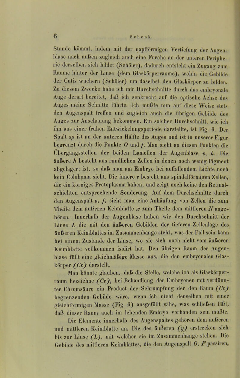 Stande kömmt, indem mit der napfförmigen Verliefung der Augen- l)lase nach außen zugleich aucli eine Furche an der unteren Periphe- rie derselhen sich hildet (Schüler), dadurch entsteht ein Zugang zum Räume hinter der Linse (dem Glaskörperraume), wohin die Gebilde der Cutis wuchern (Schüler) um daselhst den Glaskürper zu bilden. Zu diesem Zwecke habe ich mir Durchschnitte durch das embryonale Auge derart bereitet, daß ich senkrecht auf die optische Achse des Auges meine Schnitte führte. Ich mußte nun auf diese Weise stets den Augenspalt treffen und zugleich auch die übrigen Gebilde des Auges zur Anschauung bekommen. Ein solcher Durchschnitt, wie ich ihn aus einer frühen Entwickelungsperiode darstellte, ist Fig. 6. Der Spalt sp ist an der unteren Hälfte des Auges und ist in unserer Figur begrenzt durch die Punkte 0 und f. Man sieht an diesen Punkten die Übergangsstellen der beiden Lamellen der Augenblase v, h. Die äußere h besteht aus rundlichen Zellen in denen noch wenig Pigment abgelagert ist, so daß man am Embryo bei auffallendem Lichte noch kein Colobpma sieht. Die innere v besteht aus spindelförmigen Zellen, die ein körniges Protoplasma haben, und zeigt noch keine den Retinal- schichten entsprechende Sonderung. Auf dem Durchschnitte durch den Augenspalt o, /i sieht man eine Anhäufung von Zellen die zum Theile dem äußeren Keimblatte a? zum Theile dem mittleren N ange- hören. Innerhalb der Augenblase haben wir den Durchschnitt der Linse L die mit den äußeren Gebilden der tieferen Zellenlage des äußeren Keimblattes im Zusammenhange steht, was der Fall sein kann bei einem Zustande der Linse, wo sie sich noch nicht vom äußeren Keimblatte vollkommen isolirt hat. Den übrigen Raum der Augen- blase füllt eine gleichmäßige Masse aus, die den embryonalen Glas- körper C^vJ darstellt. Man könnte glauben, daß die Stelle, welche ich als Glaskörper- raum bezeichne (CvJ, bei Behandlung der Embryonen mit verdünn- ter Chromsäure ein Product der Schrumpfung der den Raum {Ci^J begrenzenden Gebilde wäre, wenn ich nicht denselben mit einer gleichförmigen Masse (Fig. 6) ausgefüllt sähe, was schließen läßt, daß dieser Raum auch im lebenden Embryo vorhanden sein mußte. Die Elemente innerhalb des Augenspaltes gehören dem äußeren und mittleren Keimblatte an. Die des äußeren {yj erstrecken sich bis zur Linse (7>), mit welcher sie im Zusammenhange stehen. Die Gebilde des mittleren Keimblattes, die den Augcnspall 0, F passiren.