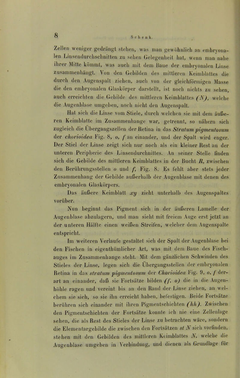 Zellen weniger gedrängt stehen, was man gewöhnlich an embryona- len Linsentlurchschnilten zu sehen Gelegenheil hat, wenn man nahe ihrer Mitte kömmt, was auch mit dem Haue der embryonalen Linse zusammenhängt. Von den Gebilden des mittleren Keimblattes die durch den Augenspalt ziehen, auch von der gleichiörmigen Masse die den embryonalen Glaskörper darstellt, ist noch nichts zu sehen, auch erreichten die Gebilde des mittleren Keimblattes (N), welche die Augenblase umgeben, noch nicht den Augenspalt. Hat sich die Linse vom Stiele, durch welchen sie mit dem äuße- ren Keimblatte im Zusammenhange war, getrennt, so nähern sich zugleich die Übergangszellen der Retina in das Stratum pigmentosum der chorioiclea Fig. 8, o, f an einander, und der Spalt wird enger. Der Stiel der Linse zeigt sich nur noch als ein kleiner Rest an der unteren Peripherie des Linsendurchnittes. An seiner Stelle finden sich die Gebilde des mittleren Keimblattes in der Bucht R, zwischen den Berührungsstellen o und f, Fig. 8. Es fehlt aber stets jeder Zusammenhang der Gebilde außerhalb der Augenblase mit denen des embryonalen Glaskörpers. Das äußere Keimblatt xy zieht unterhalb des Augenspaltes vorüber. Nun beginnt das Pigment sich in der äußeren Lamelle der Augenblase abzulagern, und man sieht mit freiem Auge erst jetzt an der unteren Hälfte einen weißen Streifen, welcher dem Augenspalte entspricht. Im weiteren Verlaufe gestaltet sich der Spalt der Augenblase bei den Fischen in eigenthümlicher Art, was mit dem Baue des Fisch- auges im Zusammenhange steht. Mit dem gänzlichen Schwinden des Stieles der Linse, legen sich die Übergangsstellen der embryonalen Retina in das Stratum pigmentosum der Chorioiclea Fig. 9, o, f der- art an einander, daß sie Fortsätze bilden (f, o) die in die Augen- höhle ragen und vereint bis an den Rand der Linse ziehen, an wel- chem sie sich, so sie ihn erreicht haben, befestigen. Beide Fortsätze berühren sich einander mit ihren Pigmentschichten (hh). Zwischen den Pigmentschichten der Fortsätze konnte ich nie eine Zellenlage sehen, die als Rest des Stieles der Linse zu betrachten wäre, sondern die Elementargebilde die zwischen den Fortsätzen st N sich vorfinden, stehen mit den Gebilden des mittleren Keimblattes N, welche die Augenblase umgeben in Verbindung, und dienen als Grundlage für