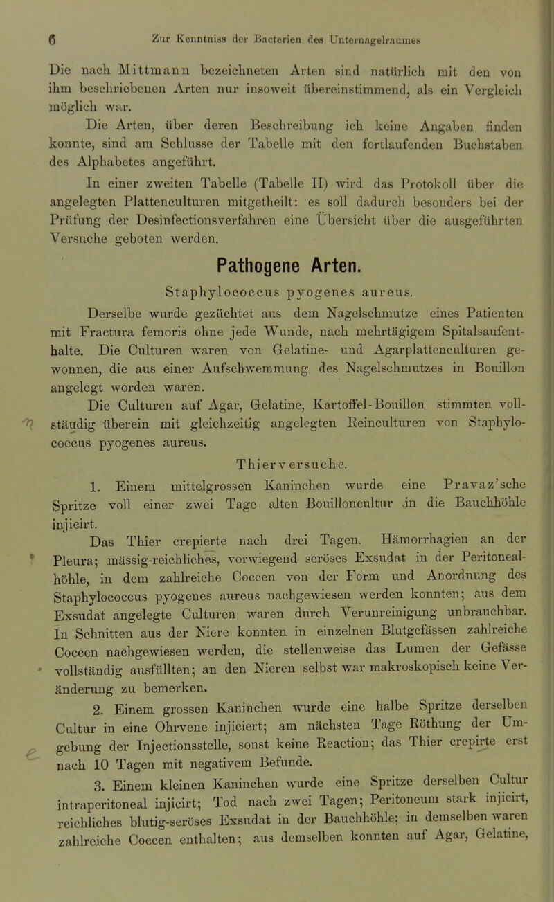 Die nacli Mittmann bezeichneten Arten sind natürlich mit den von ihm beschriebenen Arten nur insoweit übereinstimmend, als ein Vergleich möglich war. Die Arten, über deren Beschreibung ich keine Angaben hnden konnte, sind am Schlüsse der Tabelle mit den fortlaufenden Buchstaben des Alphabetes angeführt. In einer zweiten Tabelle (Tabelle II) wird das Protokoll über die angelegten Plattenculturen mitgetheilt: es soll dadurch besonders bei der Prüfung der Desinfectionsverfahren eine Ubersicht über die ausgeführten Versuche geboten werden. Pathogene Arten. Staphylococcus pyogenes aureus. Derselbe wurde gezüchtet aus dem Nagelschmutze eines Patienten mit Fractura femoris ohne jede Wunde, nach mehrtägigem Spitalsaufent- halte. Die Culturen waren von Gelatine- und Agarplattenculturen ge- wonnen, die aus einer Aufschwemmung des Nagelschmutzes in Bouillon angelegt worden waren. Die Culturen auf Agar, Gelatine, Kartoffel-Bouillon stimmten voll- ständig überein mit gleichzeitig angelegten Reinculturen von Staphylo- coccus pyogenes aureus. Thier V ersuche. 1. Einem mittelgrossen Kaninchen wurde eine Pravaz'sche Spritze voll einer zwei Tage alten Bouilloncultur in die Bauchhöhle injicirt. Das Thier crepierte nach drei Tagen. Hämorrhagien an der Pleura; mässig-reichliches, vorwiegend seröses Exsudat in der Peritoneal- höhle, in dem zahlreiche Coccen von der Form und Anordnung des Staphylococcus pyogenes aureus nachgewiesen werden konnten; aus dem Exsudat angelegte Culturen waren durch Verunreinigung unbrauchbar. In Schnitten aus der Niere konnten in einzelnen Blutgefässen zahlreiche Coccen nachgewiesen werden, die stellenweise das Lumen der Gefässe vollständig ausfüllten; an den Nieren selbst war makroskopisch keine Ver- änderung zu bemerken. 2. Einem grossen Kaninchen wurde eine halbe Spritze derselben Cultur in eine Ohrvene injiciert; am nächsten Tage Röthung der Um- gebung der Injectionsstelle, sonst keine Reaction; das Thier crepirte erst nach 10 Tagen mit negativem Befunde. 3. Einem kleinen Kaninchen wurde eine Spritze derselben Cultur intraperitoneal injicirt; Tod nach zwei Tagen; Peritoneum stark injicirt, reichliches blutig-seröses Exsudat in der Bauchhöhle; in demselben waren zahlreiche Coccen enthalten; aus demselben konnten auf Agar, Gelatme,