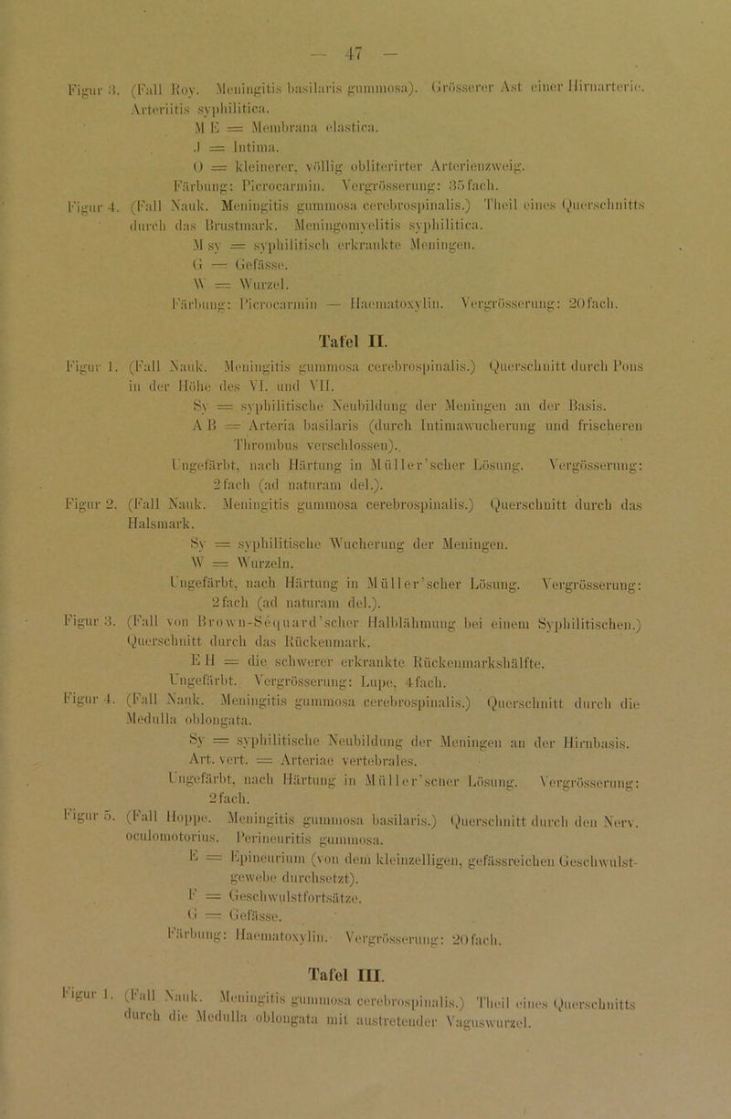 Figur 4. Figur 1. Figur 2. Figur 3. Figur 4. Figur 5. Arteriitis syphilitica. M E = Membrana elastica. ,1 = Intima. 0 = kleinerer, völlig obliterirter Arterienzweig. Färbung: Picrocarmin. Vergrösserung: 35fach. (Fall Naulc. Meningitis gummosa cerebrospinalis.) Theil eines (.Querschnitts durch das Brustmark. Meuingomyelitis syphilitica. M sy = syphilitisch erkrankte Meningen. G — Gelasse. W == Wurzel. Färbung: Picrocarmin — Haematoxyliu. Vergrösserung: 20fach. Tafel II. (Fall Maule. Meningitis gummosa cerebrospinalis.) Querschnitt durch Pons in der Höhe des VI. und VII. S\ = syphilitische Neubildung der Meningen an der Basis. AB = Arteria basilaris (durch Intimawucherung und frischeren Thrombus verschlossen).. Ungefärbt, nach Härtung in Müller’scher Lösung. Vergüsserung: 2fach (ad naturam del.). (Fall Nauk. Meningitis gummosa cerebrospinalis.) Querschnitt durch das Halsmark. Sy = syphilitische Wucherung der Meningen. W = Wurzeln. Lngefärbt, nach Härtung in Müller’scher Lösung. Vergrösserung: 2fach (ad naturam del.). (Fall von Brown-Sequard’scher Halblähmung bei einem Syphilitischen.) Querschnitt durch das Kückenmark. EH = die schwerer erkrankte Kückenmarkshälfte. Ungefärbt. Vergrösserung: Lupe, 4fach. (Fall Naulc. Meningitis gummosa cerebrospinalis.) Querschnitt durch die Medulla oblongata. Sy = syphilitische Neubildung der Meningen an der Hirnbasis. Art. vert. = Arteriae vertebrales. Ungefärbt, nach Härtung in Müller scher Lösung. Vergrösserung: 2fach. (Fall Hoppe. Meningitis gummosa basilaris.) Querschnitt durch den Nerv, oculomotorius. Perineuritis gummosa. E = Epineurium (von dem kleinzelligen, gefässreichen Geschwulst- gewebe d 11 rc hsetzt). F — Geschwulstfortsätze. G —- Gefässe. härbung: Haematoxyliu. Vergrösserung: 20fach. Figur 1. Tafel III. a,'!!'! Niauk;, M;‘inSUis cerebrospinalis.) Theil eines Querschnitts igi n uuuuiusiMUiiiis.j I IUk| I C1U durch die Medulla oblongata mit austretender Vaguswurzel.