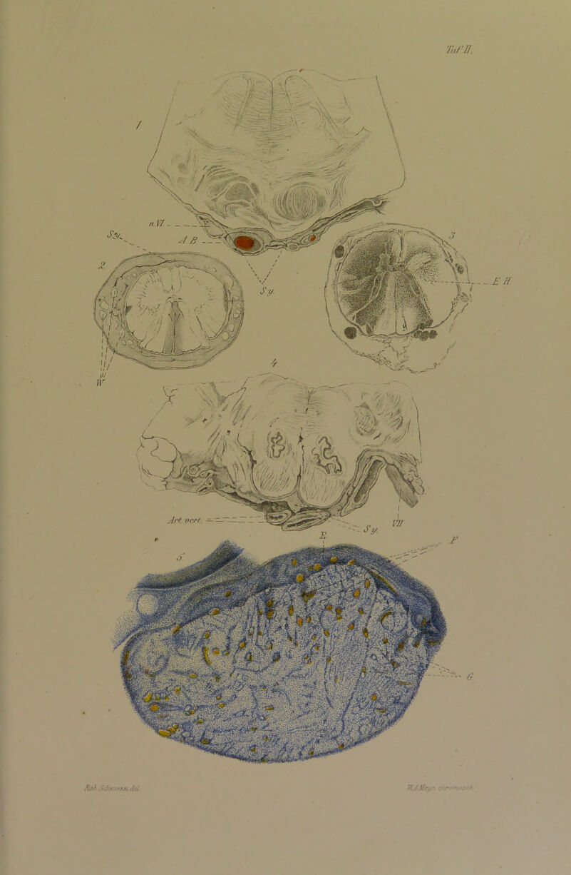 Tat:n. ßahS&riMnn.cUJ. WAMtiir,. ehr -uiltth