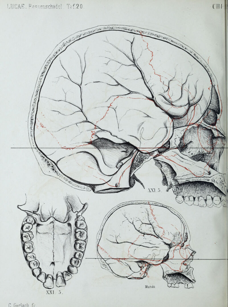 LU GAE. Pci^senschade!. Ta f.2 0 0 (TRrlanli fr