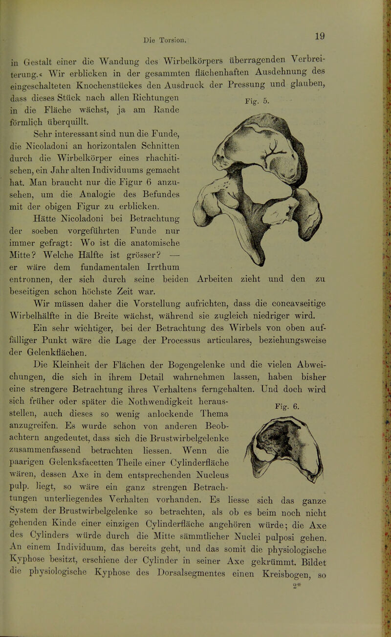 in Gestalt einer die Wandung des Wirbelkörpers überragenden Verbrei- tex'ung.« Wir erblicken in der gesammten flächenhaften Ausdehnung des eil üngesehalteten Knochenstückes den Ausdruck der Pressung und glauben, Fig. 5. dass dieses Stück nach allen Kichtungen in die Fläche wächst, ja am Rande förmlich überquillt. Sehr interessant sind nun die Funde, die Nicoladoni an horizontalen Schnitten durch die Wirbelkörper eines rhachiti- schen, ein Jahr alten Individuums gemacht hat. Man braucht nur die Figur 6 anzu- sehen, um die Analogie des Befundes mit der obigen Figur zu erblicken. Hätte Nicoladoni bei Betrachtung der soeben vorgeführten Funde nur immer gefragt: Wo ist die anatomische Mitte? Welche Hälfte ist grösser? — er wäre dem fundamentalen Irrthum entronnen, der sich durch seine beiden Arbeiten zieht und den zu beseitigen schon höchste Zeit war. Wir müssen daher die Vorstellung aufrichten, dass die concavseitige Wirbelhälfte in die Breite wächst, während sie zugleich niedriger wird. Ein sehr wichtiger, bei der Betrachtung des Wirbels von oben auf- fälliger Punkt wäre die Lage der Processus articulares, beziehungsweise der Gelenkflächen. Die Kleinheit der Flächen der Bogengelenke und die vielen Abwei- chungen, die sich in ihrem Detail wahrnehmen lassen, haben bisher eine strengere Betrachtung ihres Verhaltens ferngehalten. Und doch wird sich früher oder später die Nothwendigkeit heraus- stellen, auch dieses so wenig anlockende Thema anzugreifen. Es wurde schon von anderen Beob- achtern angedeutet, dass sich die Brustwirbelgelenke zusammenfassend betrachten Hessen. Wenn die paarigen Gelenksfticetten Theile einer Cyhnderfläche Avären, dessen Axe in dem entsprechenden Nucleus pulp. Hegt, so wäre ein ganz strengen Betrach- tungen unterliegendes Verhalten vorhanden. Es Hesse sich das ganze System der Brustwirbelgelenke so betrachten, als ob es beim noch nicht gehenden Kinde einer einzigen Cyhnderfläche angehören würde; die Axe des Cylinders würde durch die Mitte sämmtHcher Nuclei pulposi gehen. An einem Individuum, das bereits geht, und das somit die physiologische Kyphose besitzt, erschiene der Cylinder in seiner Axe gekrümmt. Bildet die physiologische Kyphose des Dorsalsegmentes einen Kreisbo gen. so