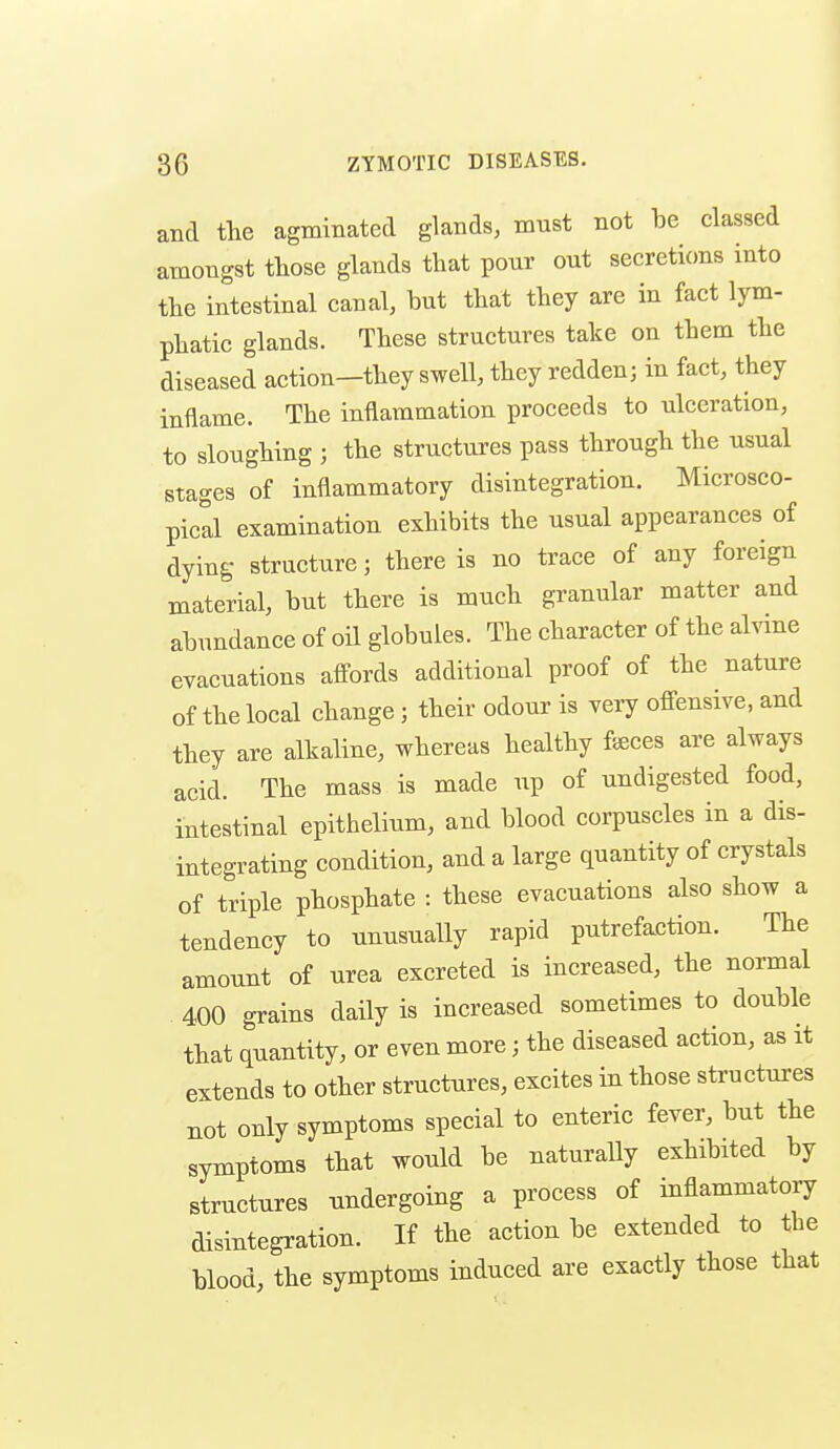 and the agminatcd glands, must not be classed amongst those glands that pour out secretions into the intestinal canal, but that they are in fact lym- phatic glands. These structures take on them the diseased action-they swell, they redden; in fact, they inflame. The inflammation proceeds to ulceration, to sloughing ; the structures pass through the usual stages of inflammatory disintegration. Microsco- pical examination exhibits the usual appearances of dying structure; there is no trace of any foreign material, but there is much granular matter and abundance of oil globules. The character of the alvine evacuations affords additional proof of the nature of the local change ; their odour is very offensive, and they are alkaline, whereas healthy faeces are always acid. The mass is made ^ip of undigested food, intestinal epithelium, and blood corpuscles in a dis- integrating condition, and a large quantity of crystals of triple phosphate : these evacuations also show a tendency to unusually rapid putrefaction. The amount of urea excreted is increased, the normal 400 grains daily is increased sometimes to double that quantity, or even more; the diseased action, as it extends to other structures, excites in those structures not only symptoms special to enteric fever, but the symptoms that would be naturally exhibited by structures undergoing a process of inflammatory disintegration. If the action be extended to the blood, the symptoms induced are exactly those that