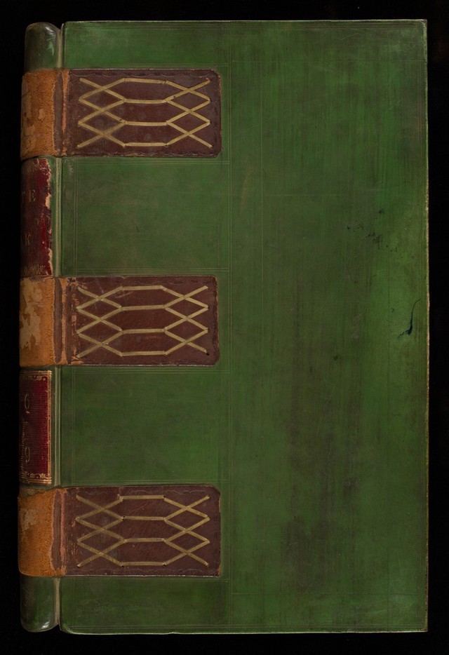 No text description is available for this image