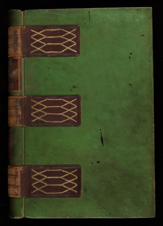 No text description is available for this image