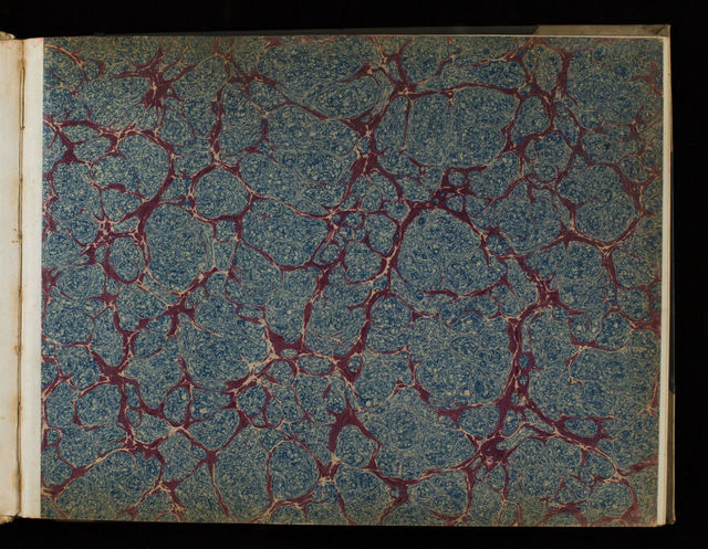 digitised image 3