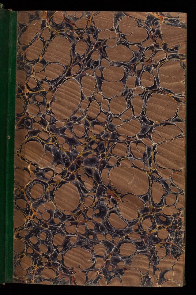 digitised image 3