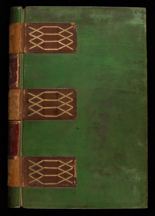 digitised image 1