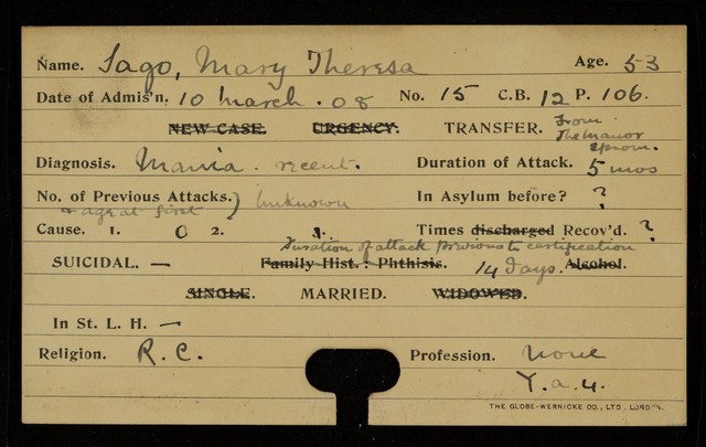 digitised image 3